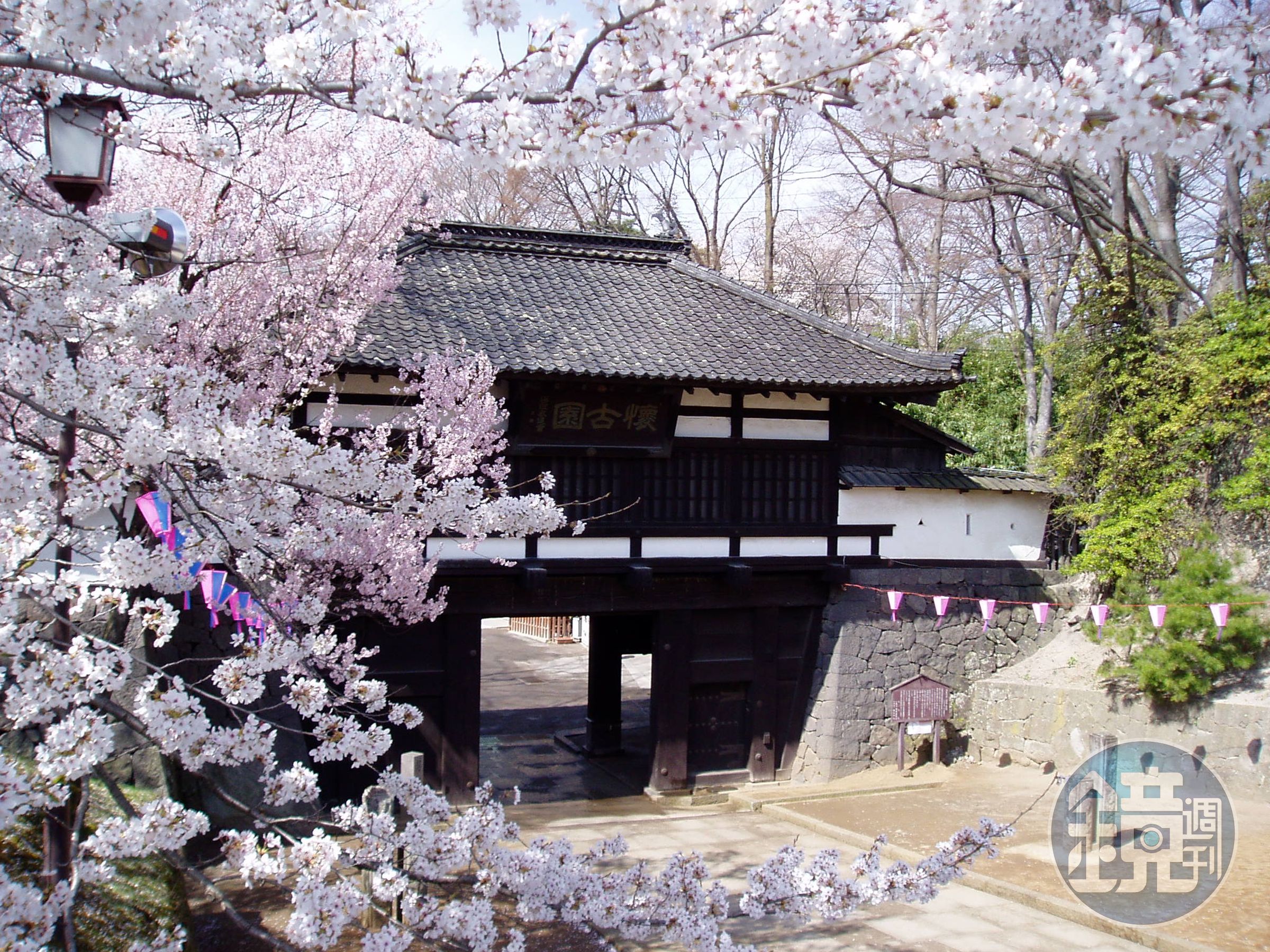 每年4月中旬懷古園內櫻花盛開，非常值得一遊。（小諸觀光局提供）