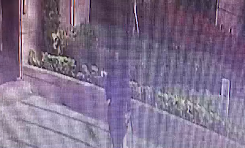 港女成功竊取貓咪後裝在白色提袋中準備離開貓舍。