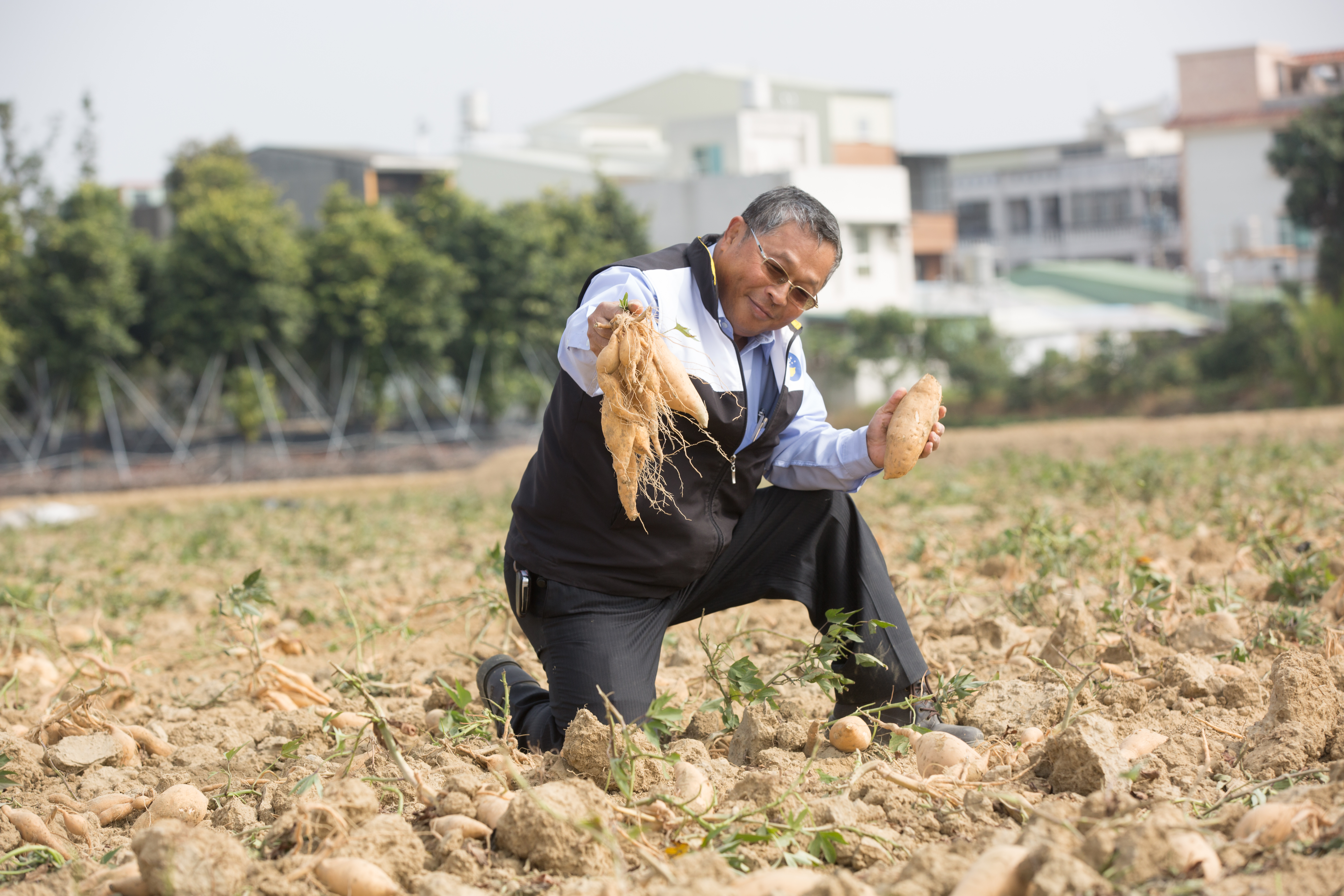 邱木城身段柔軟,說服農民加入食用甘藷契作行列,成功打造瓜瓜園品牌。