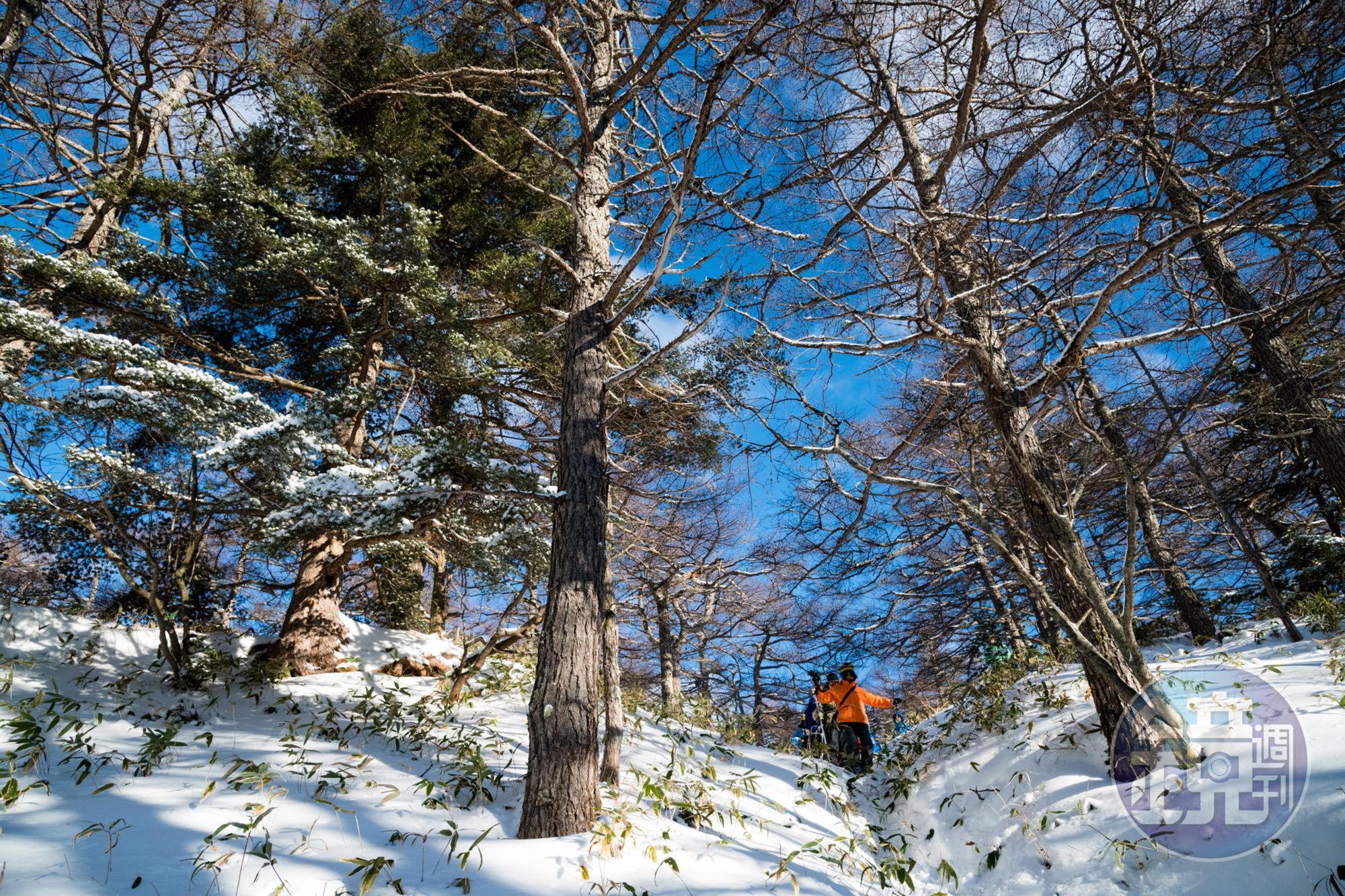 簡單的陡坡,增加雪地健行的刺激程度。