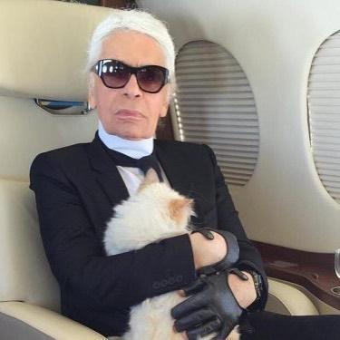 邱比特晚年跟老佛爺形影不離，經常跟著他搭私人飛機。（翻攝choupettesdiary IG）