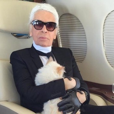 邱比特晚年跟老佛爺形影不離,經常跟著他搭私人飛機。(翻攝choupettesdiary IG)