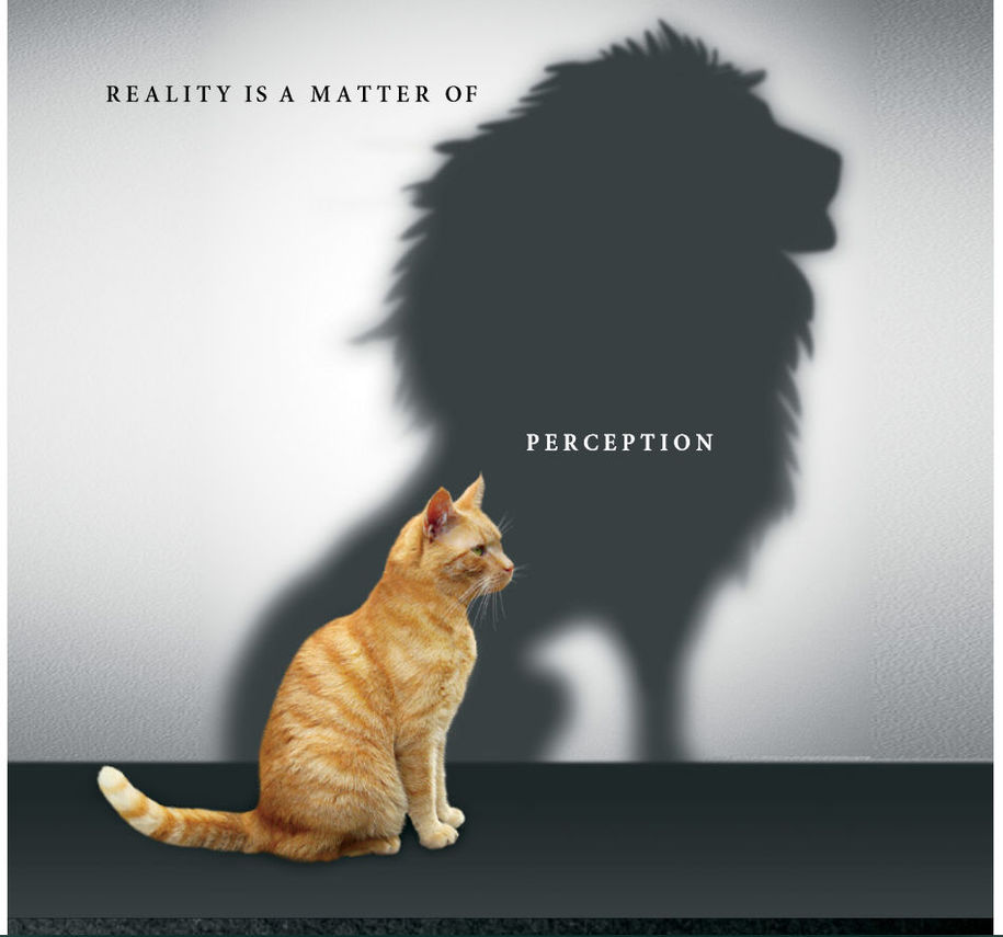 Psy Group公司宣傳冊子的封面照片，英文標題寫著「現實只是認知的問題」。（網路截圖，Kos media/Psy Group）