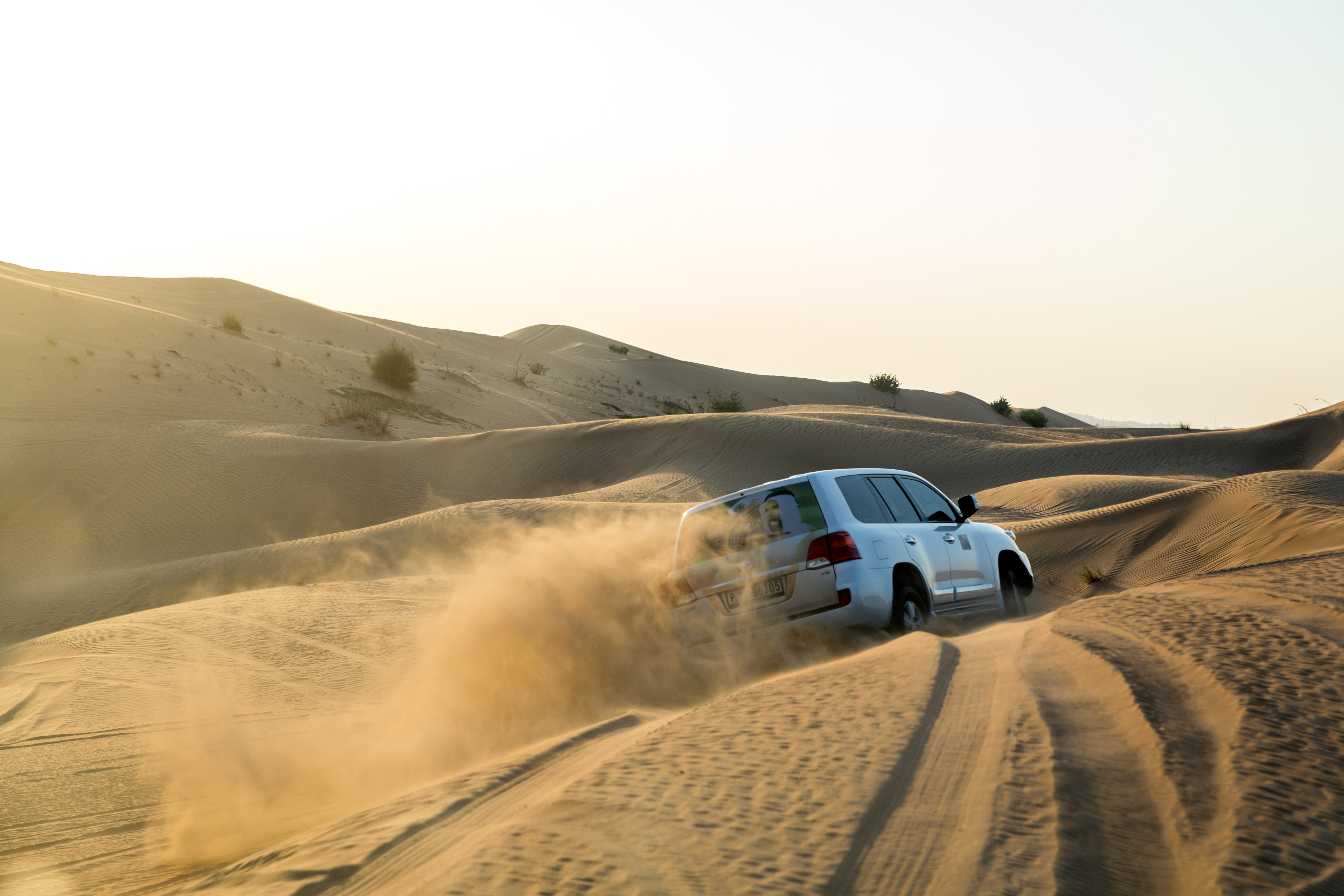 驅車來到杜拜近郊的沙漠地帶，二話不說就登上沙丘高處開始「衝沙」，簡直是真實版的雲霄飛車體驗。