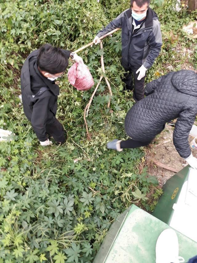 劉女將男嬰淹死後,棄屍家裡附近草叢中。(翻攝畫面)