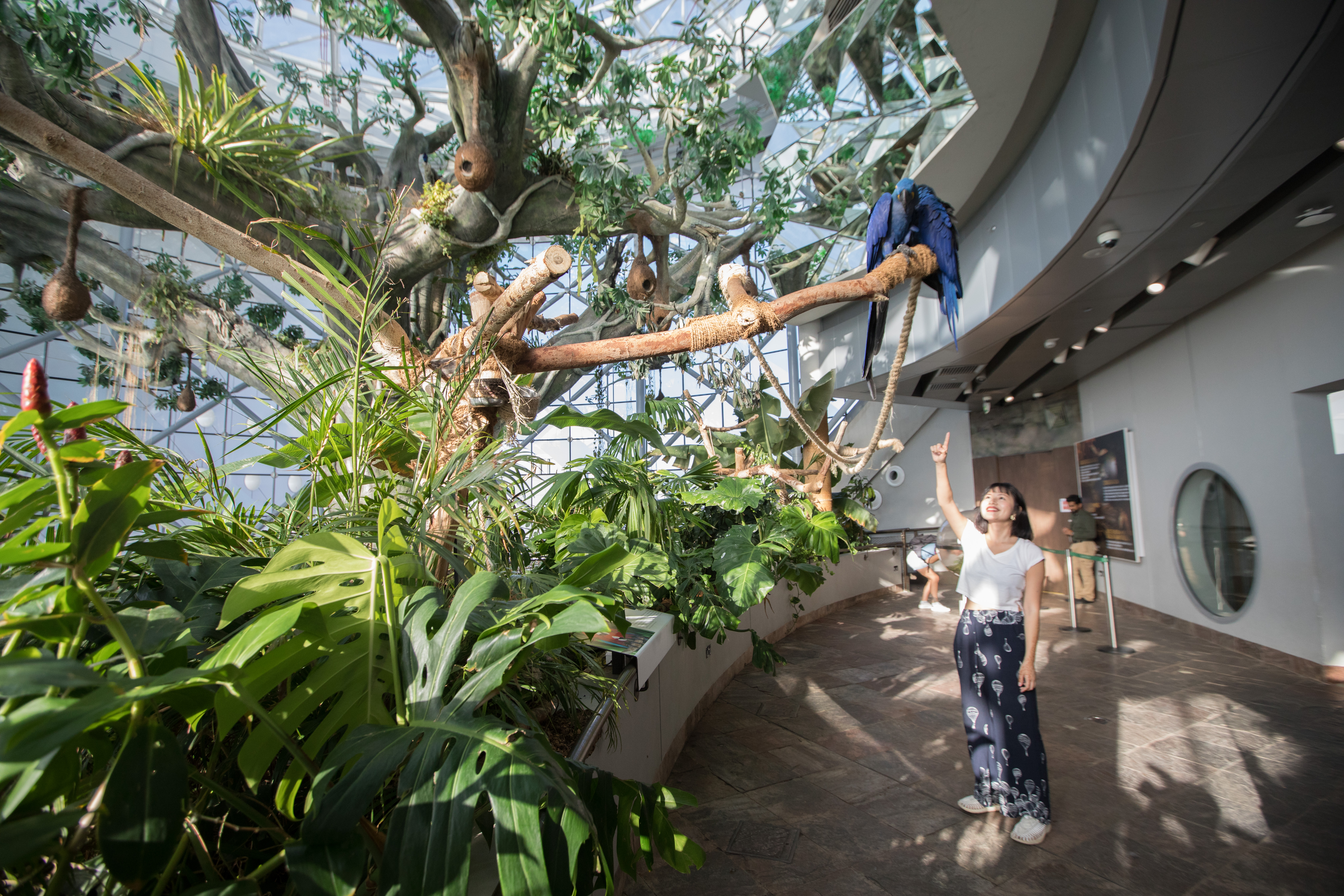 2016年9月落成的「The Green Planet」（綠色星球），是沙漠城市中的熱帶雨林。