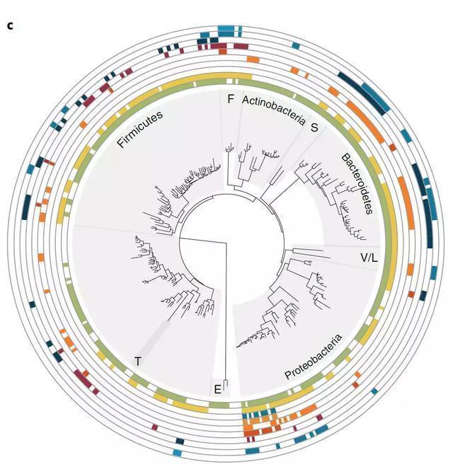 腸道基因組檢測(來源:The neuroactive potential of the human gut microbiota in quality of life and depression)