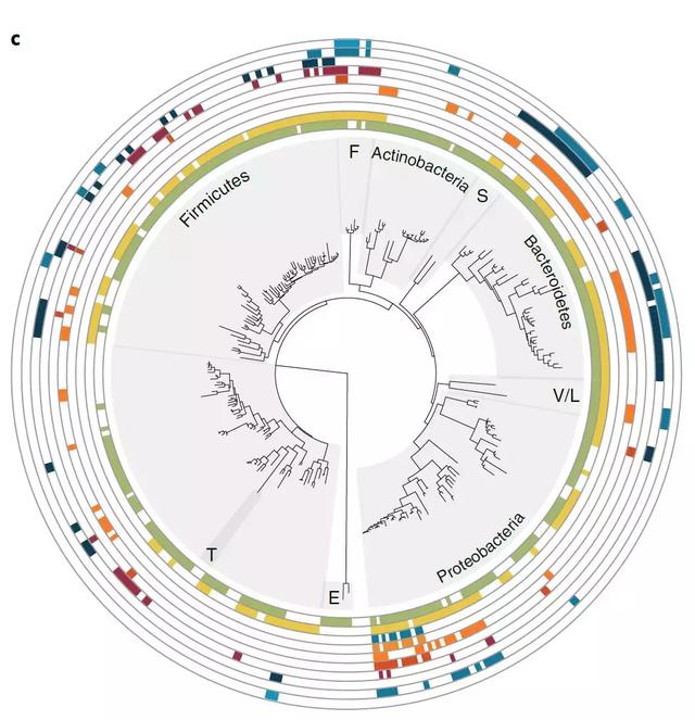 腸道基因組檢測（來源：The neuroactive potential of the human gut microbiota in quality of life and depression）