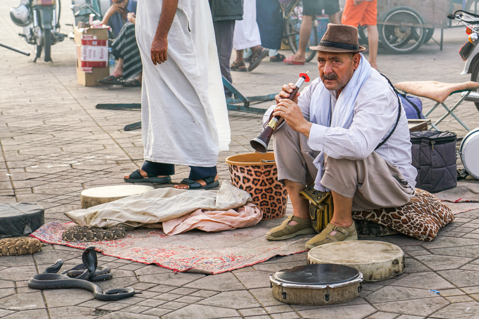 天方夜譚裡的弄蛇人也出現在摩洛哥的德吉瑪廣場上。