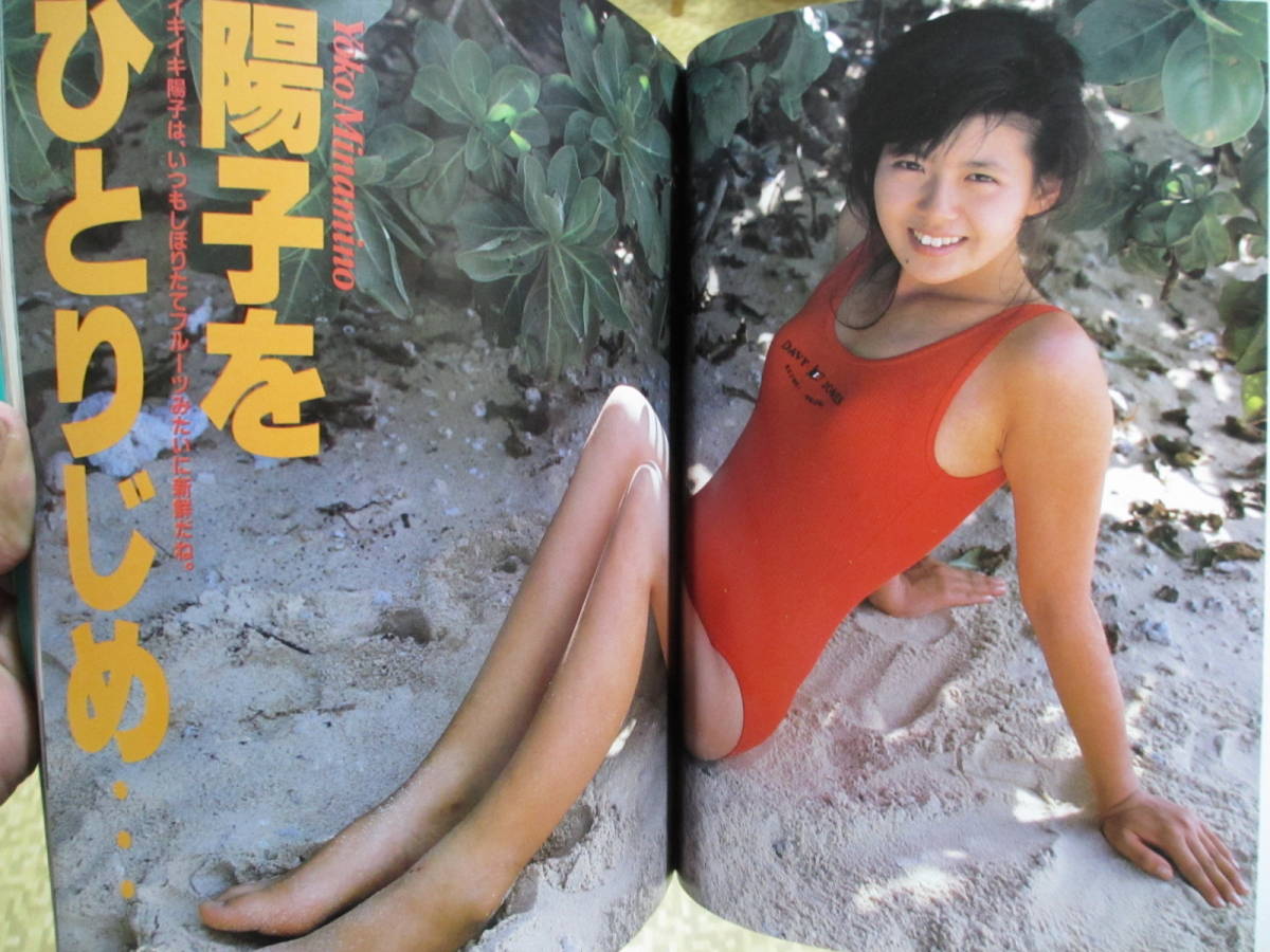 南野陽子的老公因為侵占診所公款被告，使她演藝事業陷入危機。（翻攝購夠網）