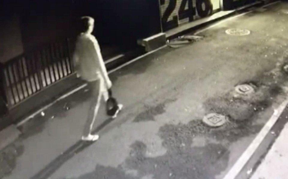 目前被檢警鎖定的新加坡籍23歲李姓男子。(翻攝畫面)