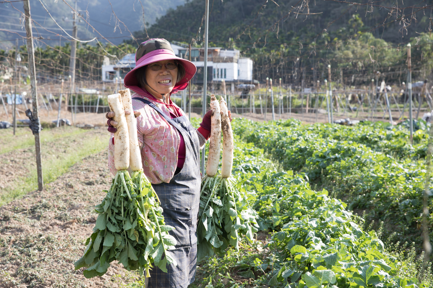 「日潭小舖」負責照顧作物的美珠說，這次採收的白玉蘿蔔很甘甜細緻。