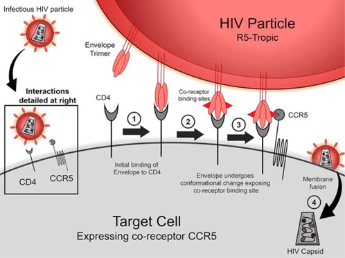 (來源:sciencedirect.com)