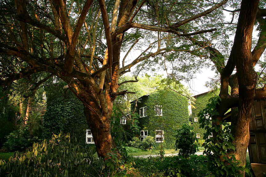 Kaomai Estate 1955 的老建築美翻。（翻攝自Kaomai Lanna Resort臉書粉絲頁）