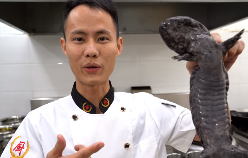 中國網紅王剛示範紅燒娃娃魚，卻意外掀起保育類論戰。（翻攝自美食作家王剛Youtube）