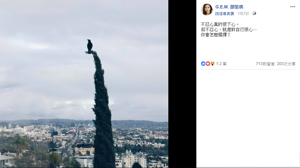 鄧紫棋2日在臉書發文就已露出端倪。(翻攝自鄧紫棋臉書)