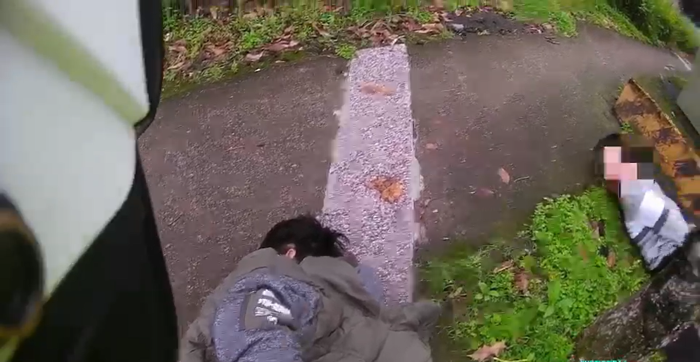 車上二名歹徒趴在地上乖乖就逮。（翻攝畫面）