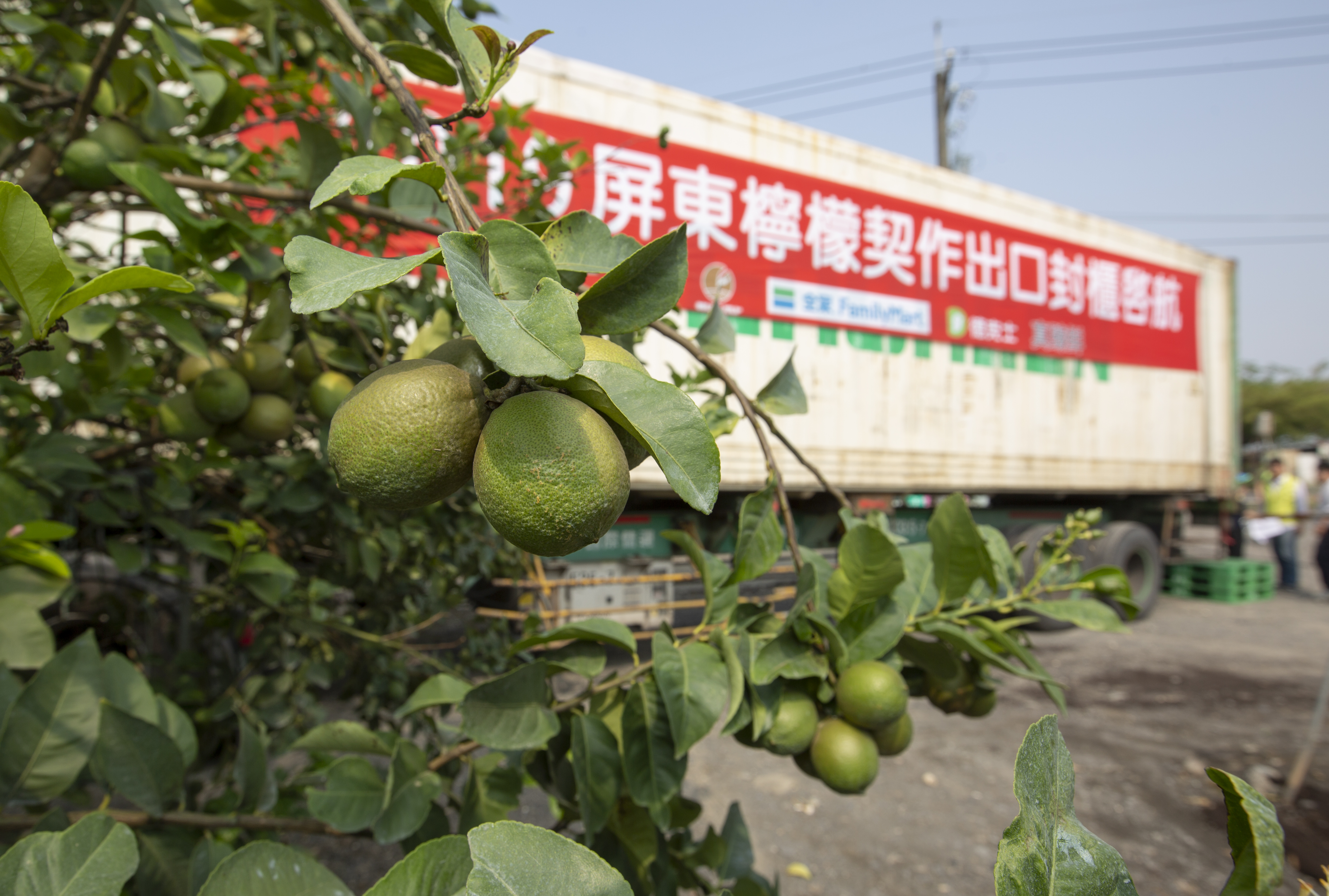 除了在台灣和大陸的德克士可以喝檸檬，從2017年起全球超過860個城市都可嘗到屏東檸檬好滋味。