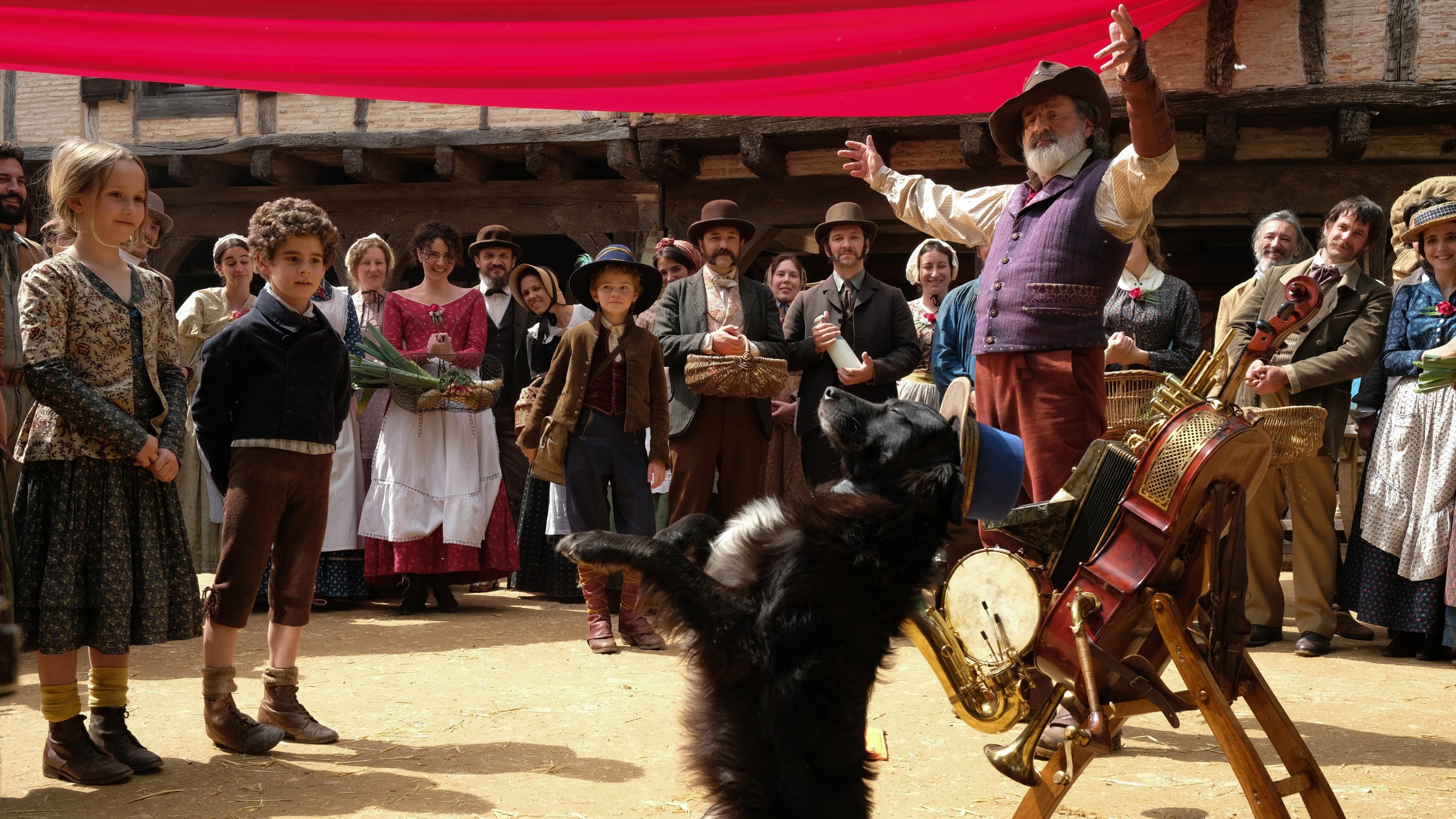 《苦兒流浪記》的邊境牧羊犬犬「卡比」不僅會雜耍，連演技都是實力派，甚至比真人還會演戲。（甲上提供）