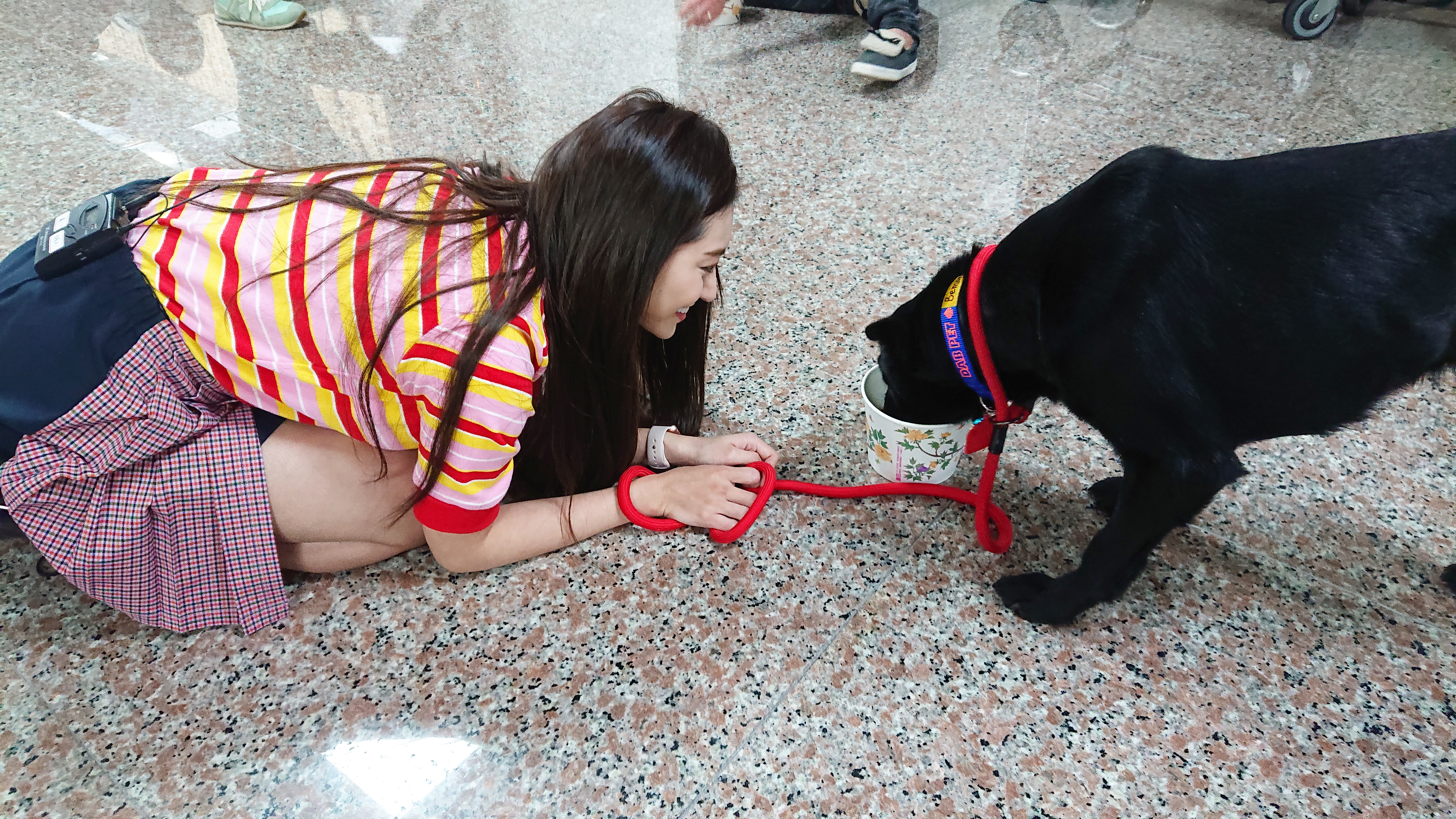 在桃園國際機場臨行前，祈錦鈅拿手機和狗狗們合照，並一一詢問狗狗們的遭遇與故事。（WEBTVASIA TAIWAN提供）