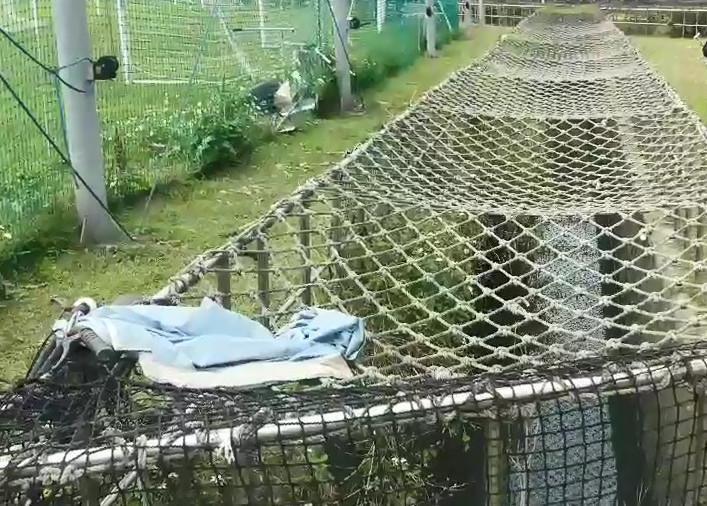魏姓女大生陳屍處是百齡橋下的大南抽水站溝渠。(翻攝畫面)