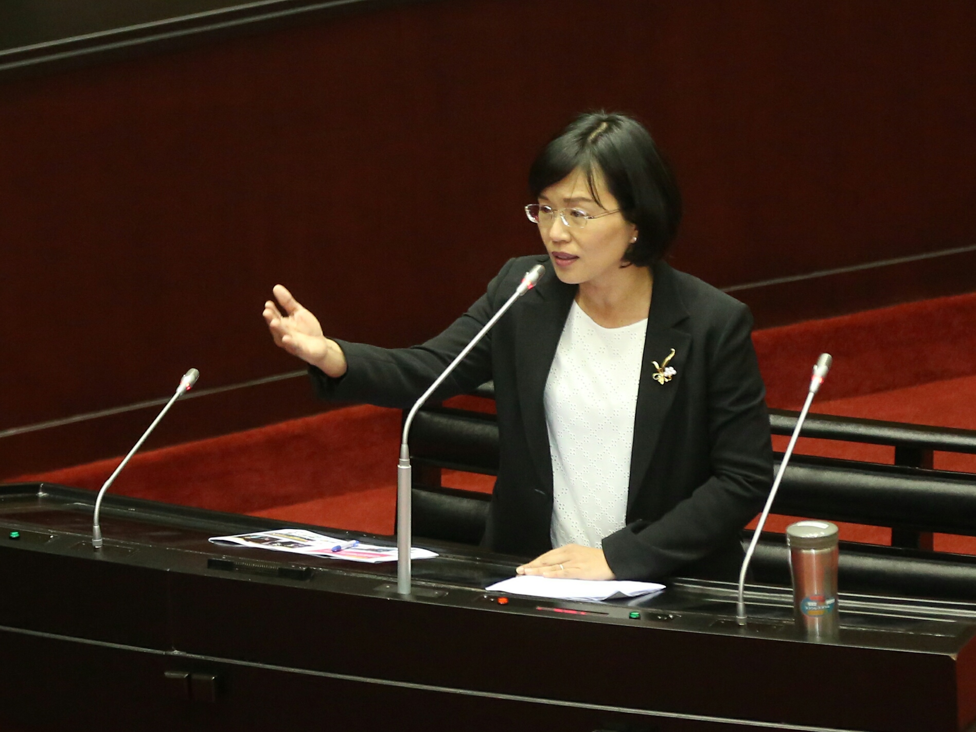 民進黨立委蘇巧慧質詢父親蘇貞昌，成為國會史上女兒質詢父親的首例。