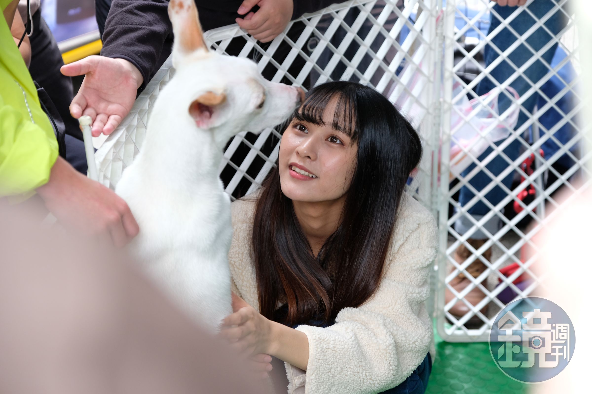 林倢現場和狗狗互動，愛寵物的她家中養了一隻銀狐叫「無骨」，目前相處短短1個月。（好言娛樂提供）