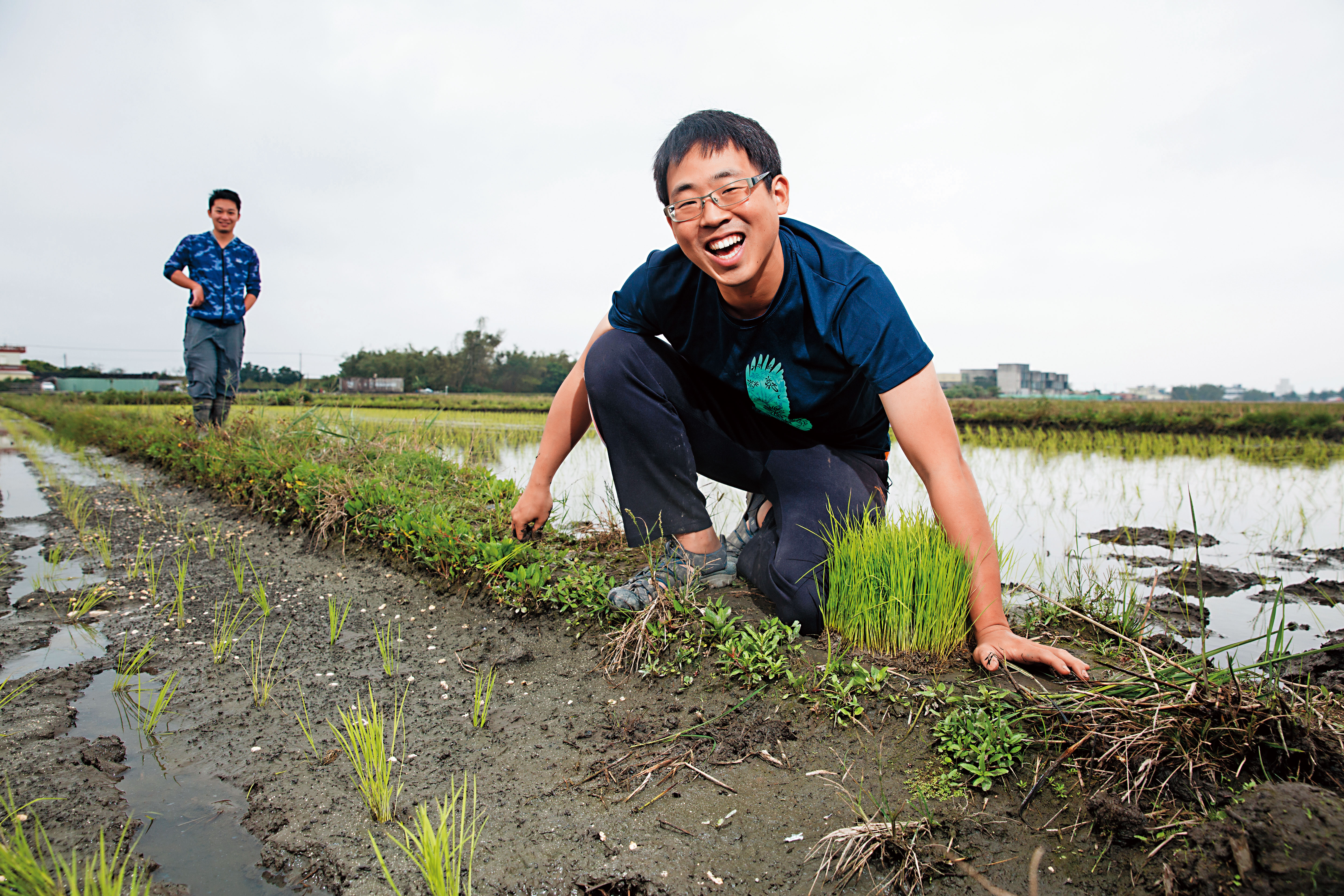 28歲的林哲安為了保護鳥類棲地成為青農，堅持用最天然的方式，零農藥、零化肥種稻。