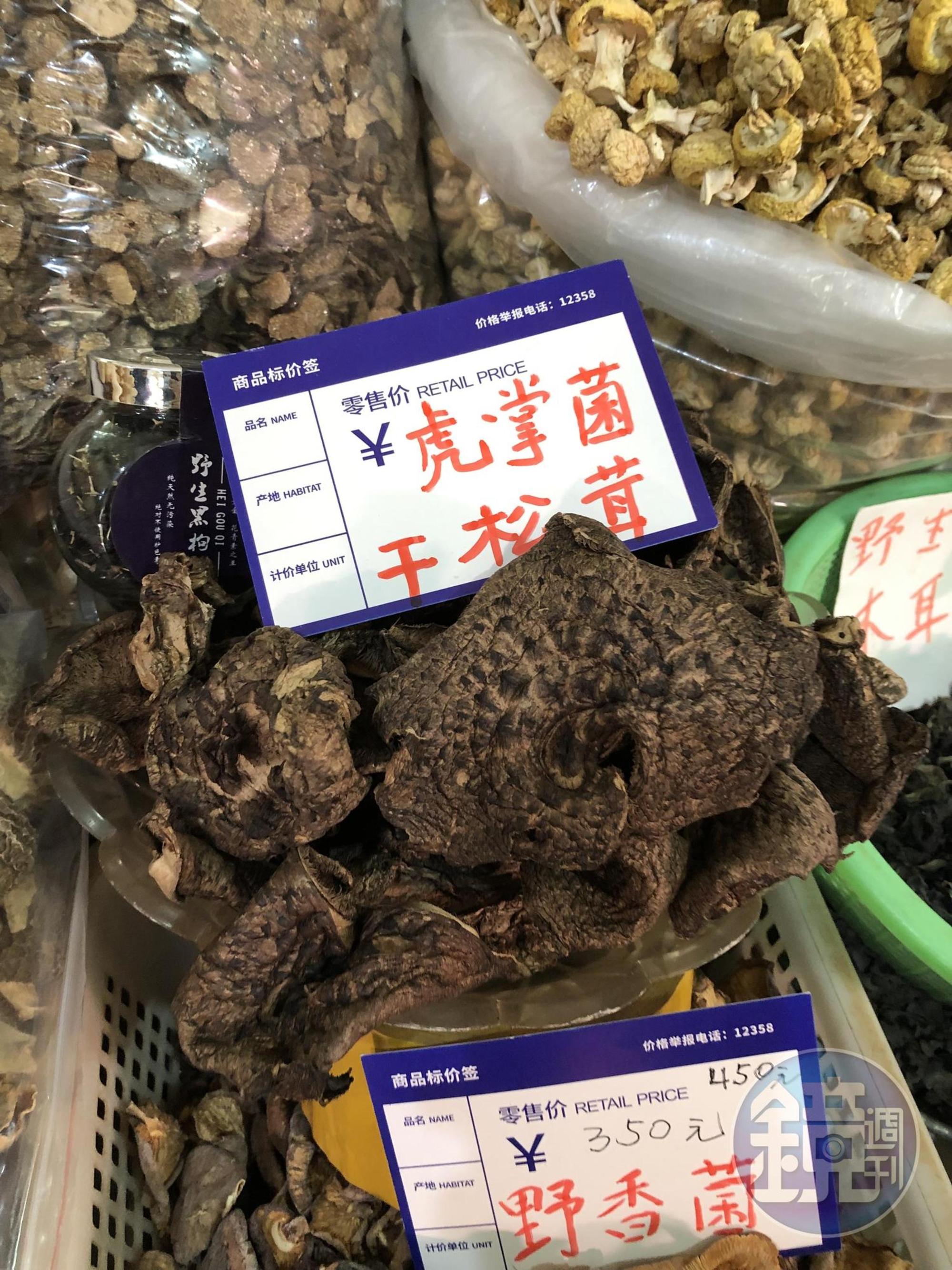 江振誠對有煙燻味的虎掌菌，充滿實驗的好奇。