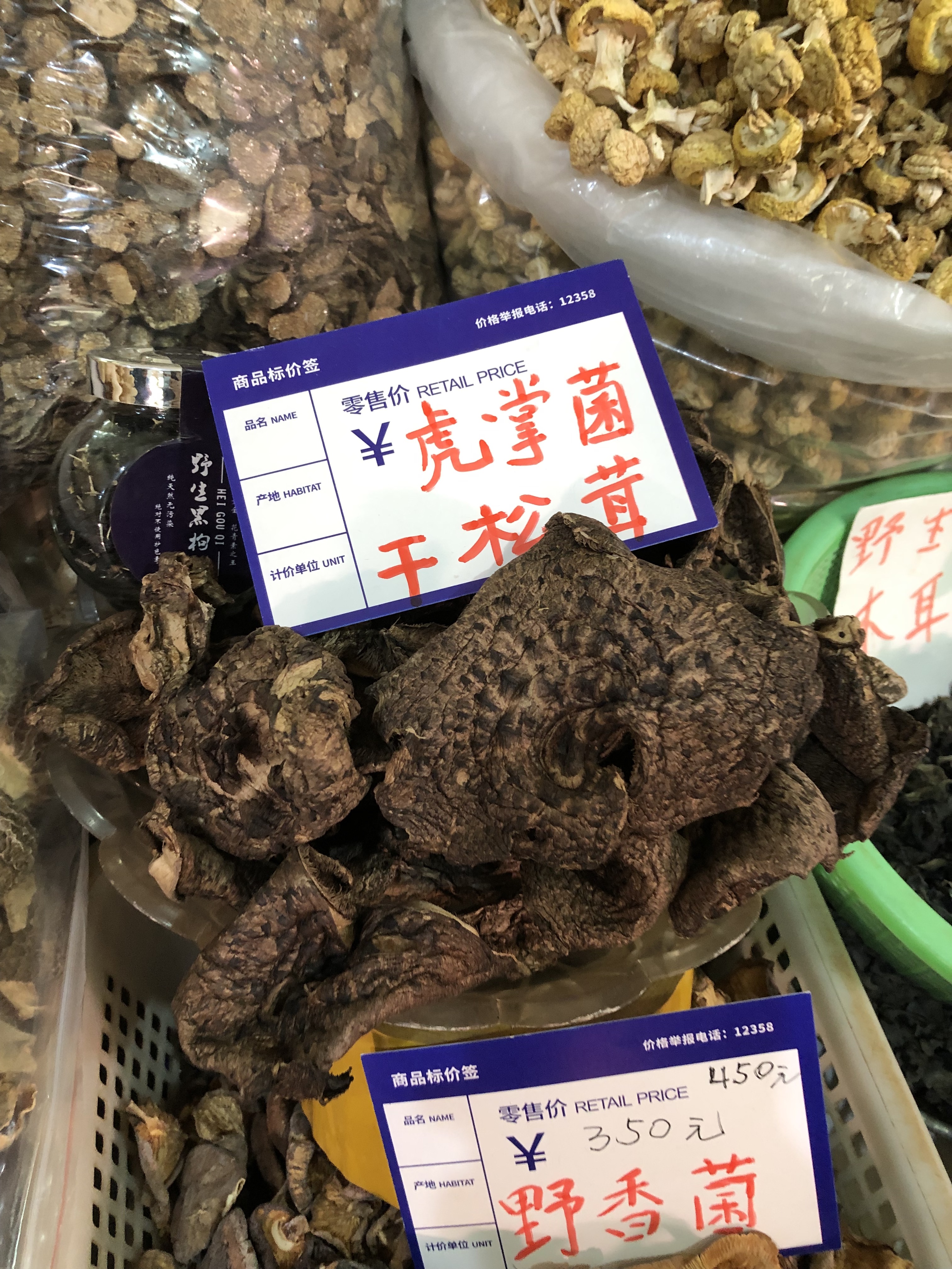 江振誠對有煙燻味的虎掌菌，充滿實驗的好奇。