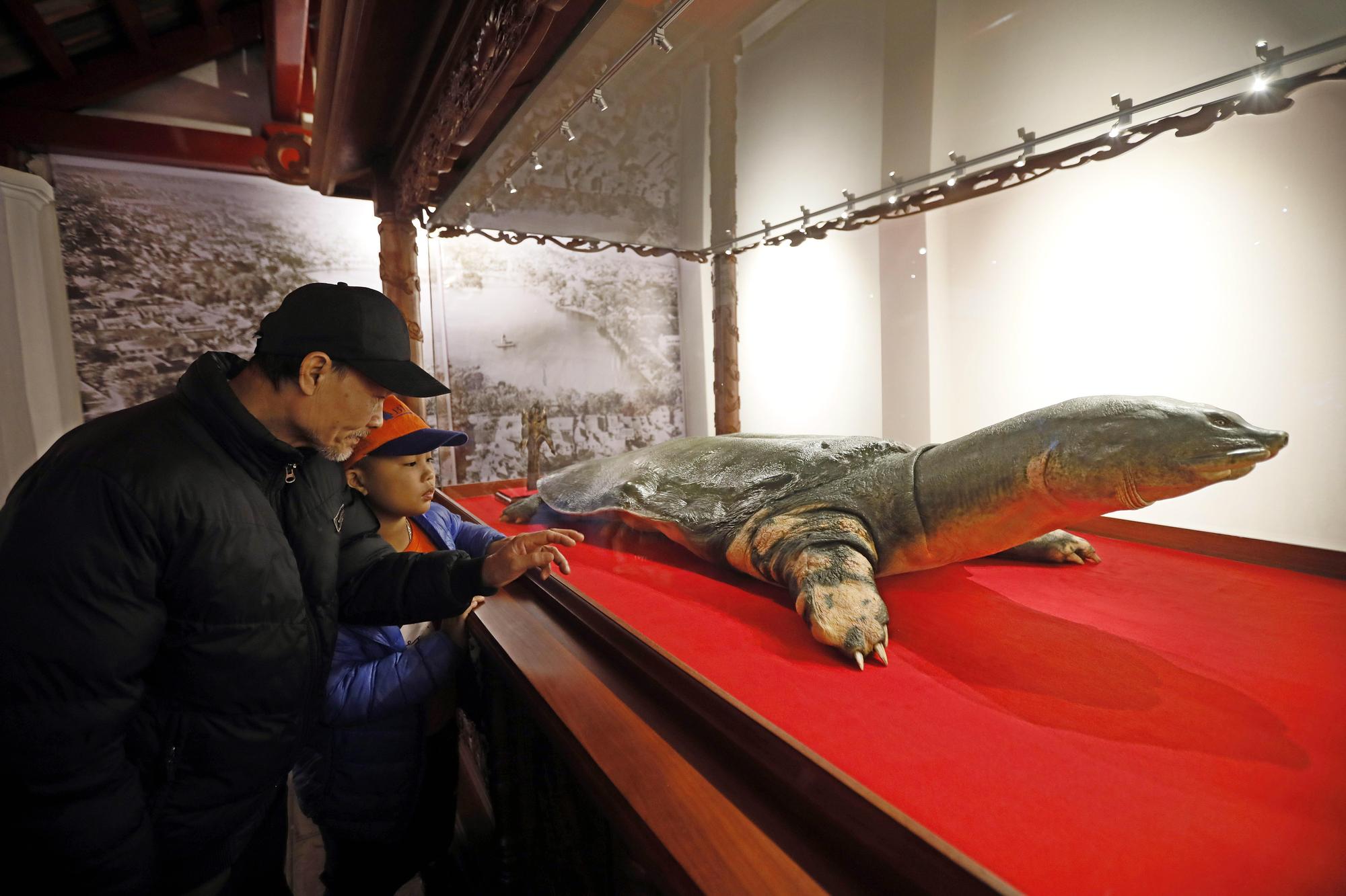 「龜祖」在越南，它被認為象徵著越南的獨立與恆久。（東方IC） 