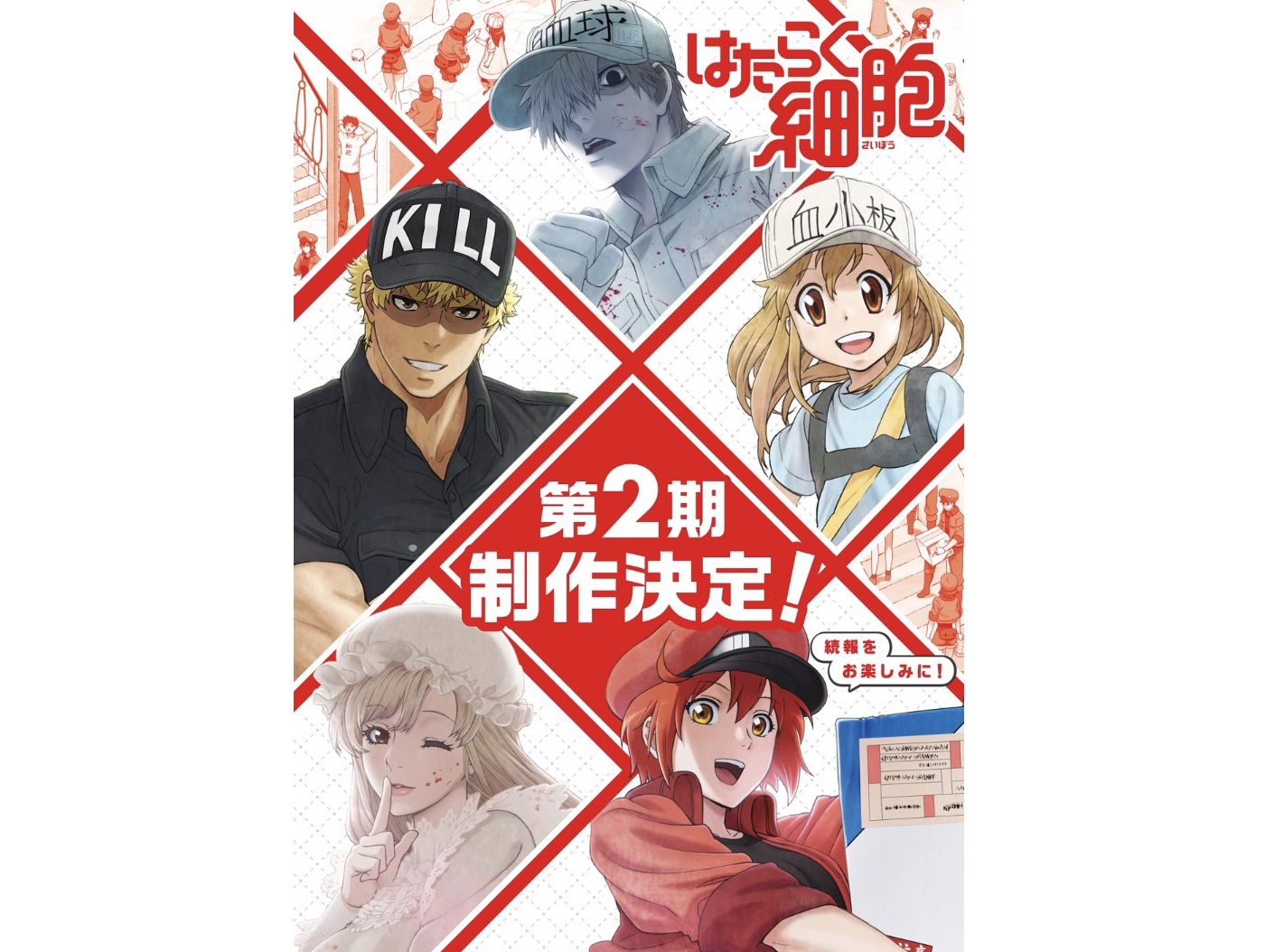 《工作細胞》電視動畫第 2 季海報。（Twitter@hataraku_saibou）