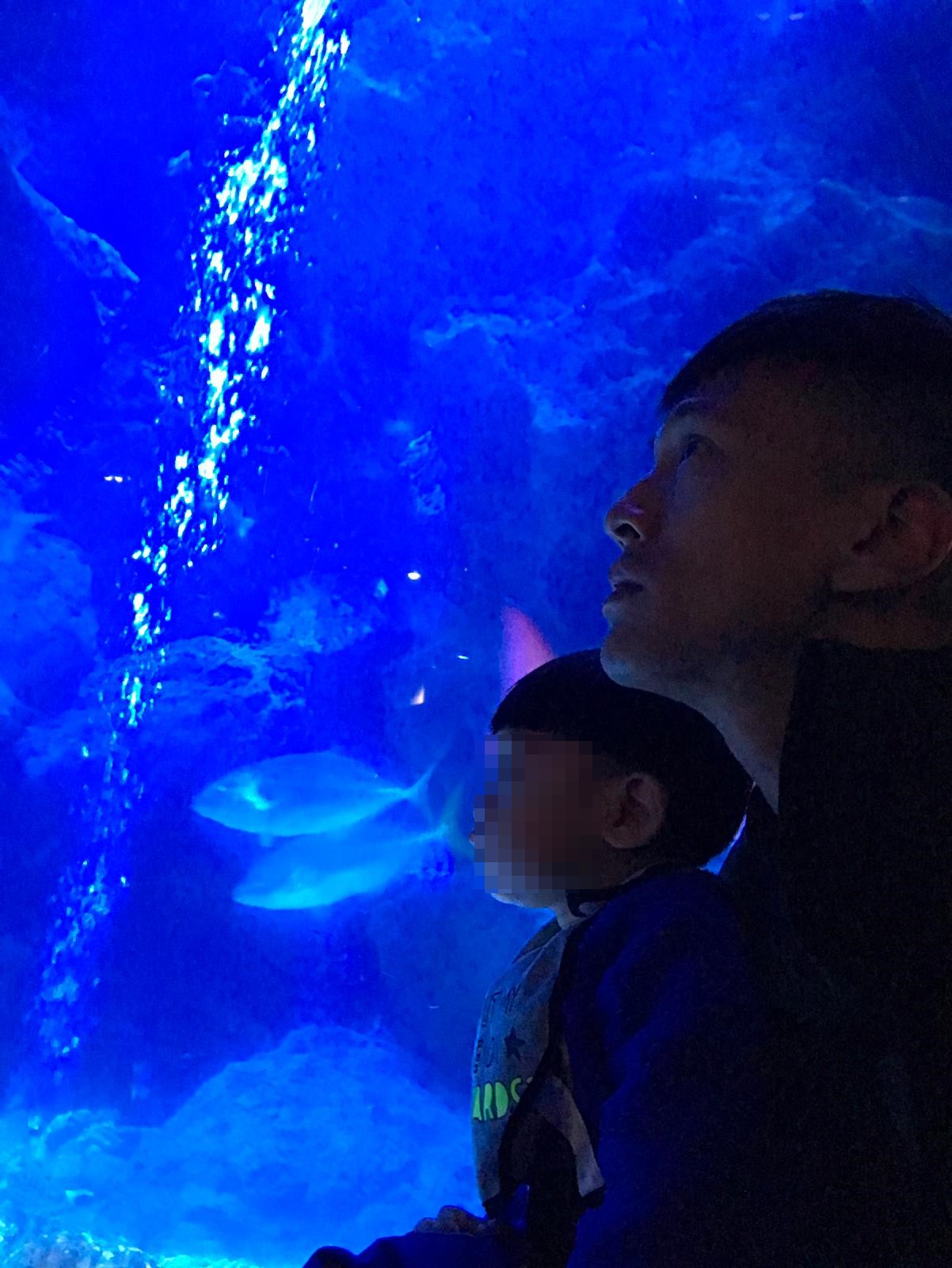 鍾承翰陪兒子去水族館看魚，感受溫馨父子情。（凱渥提供）