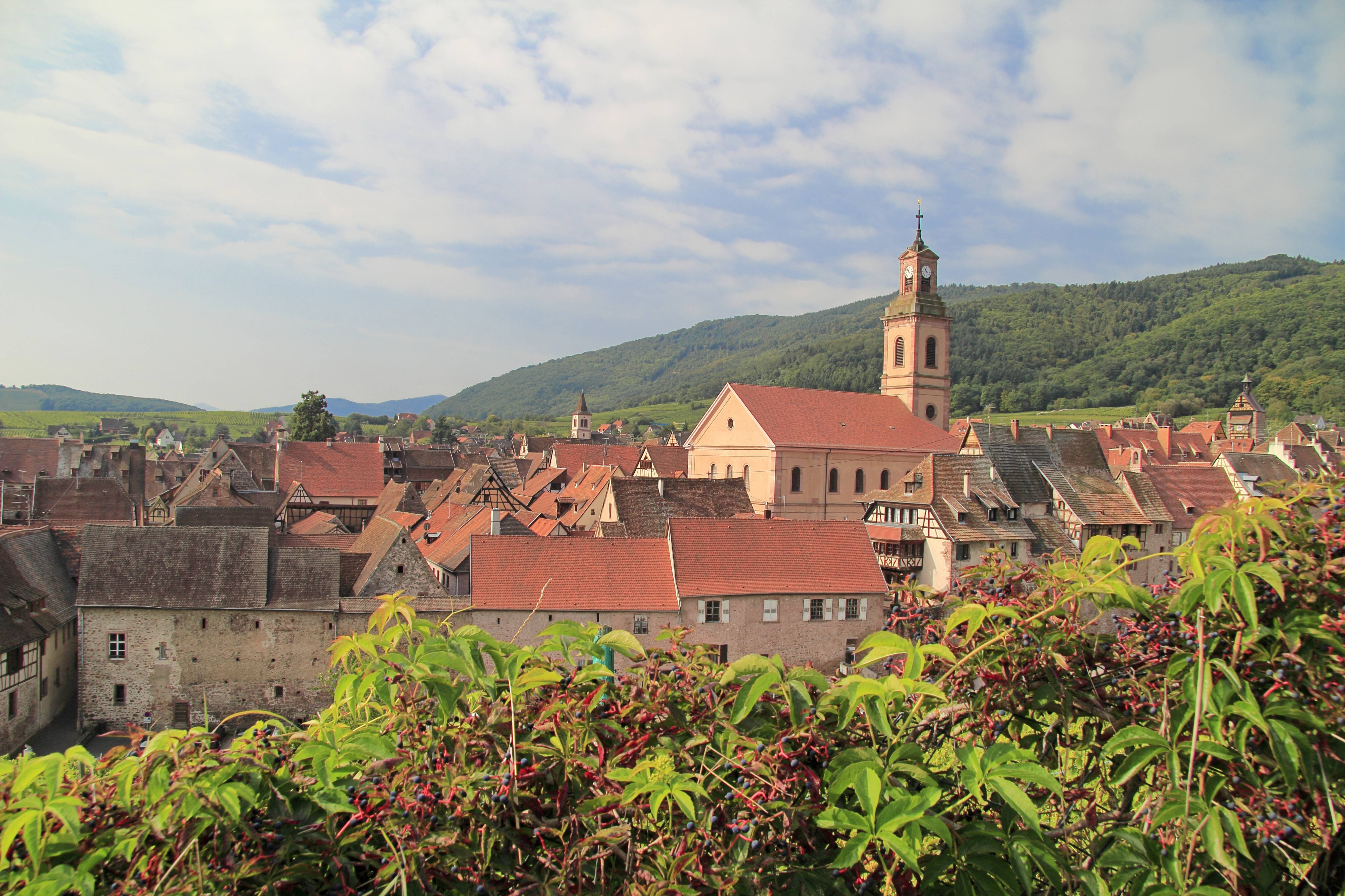 布雷維哲出身於法國亞爾薩斯地區一個富有家庭。(東方IC)