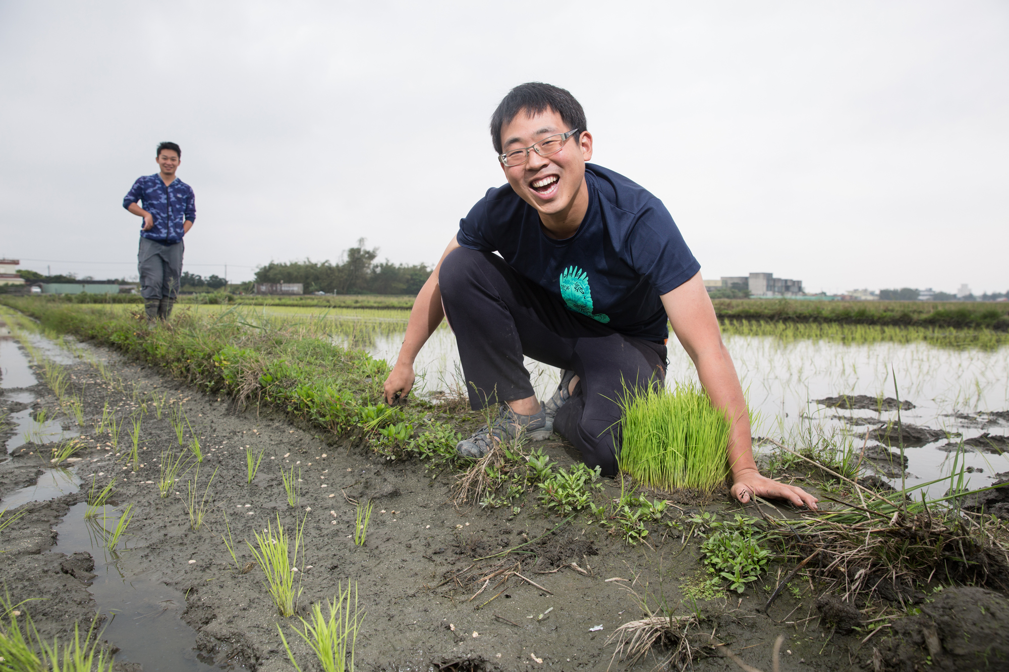 28歲的林哲安為了保護鳥類棲地成為青農，堅持用最天然的方式，零農藥、零化肥種稻。