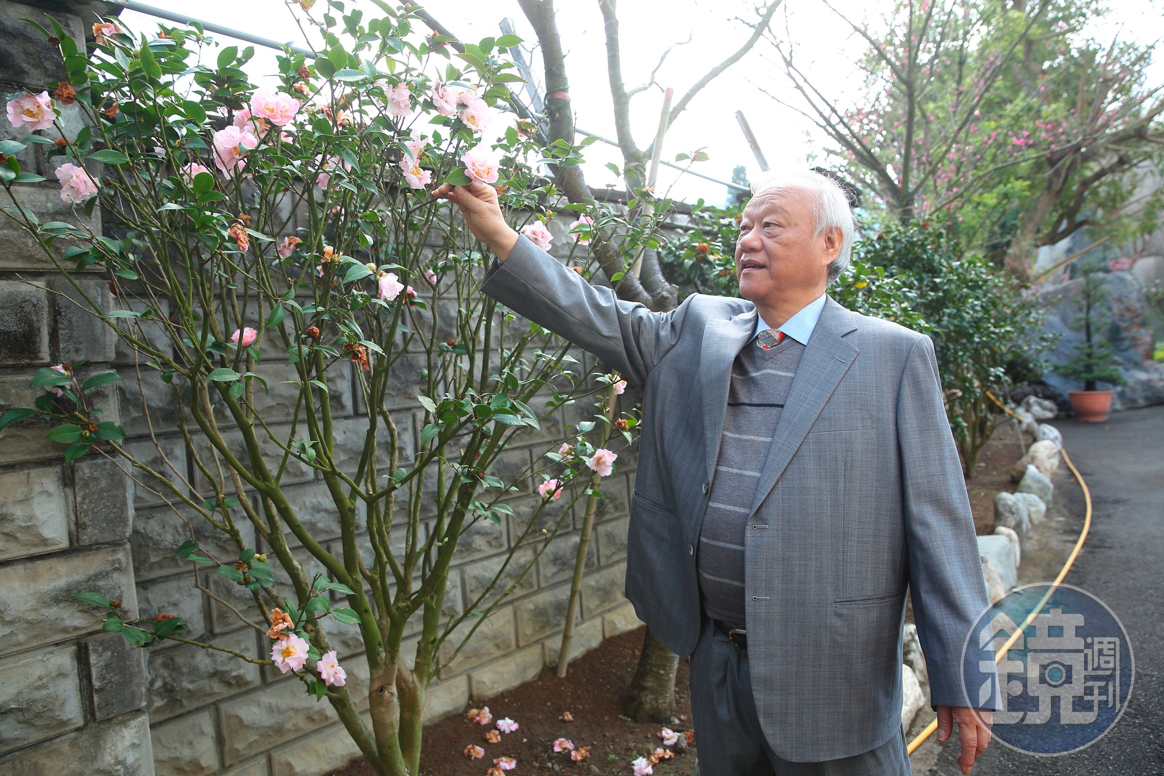 在泉碩工廠外圍種滿老樹和花，尤利春期許能達佛的境界，「百花叢林過，片葉不沾身。」