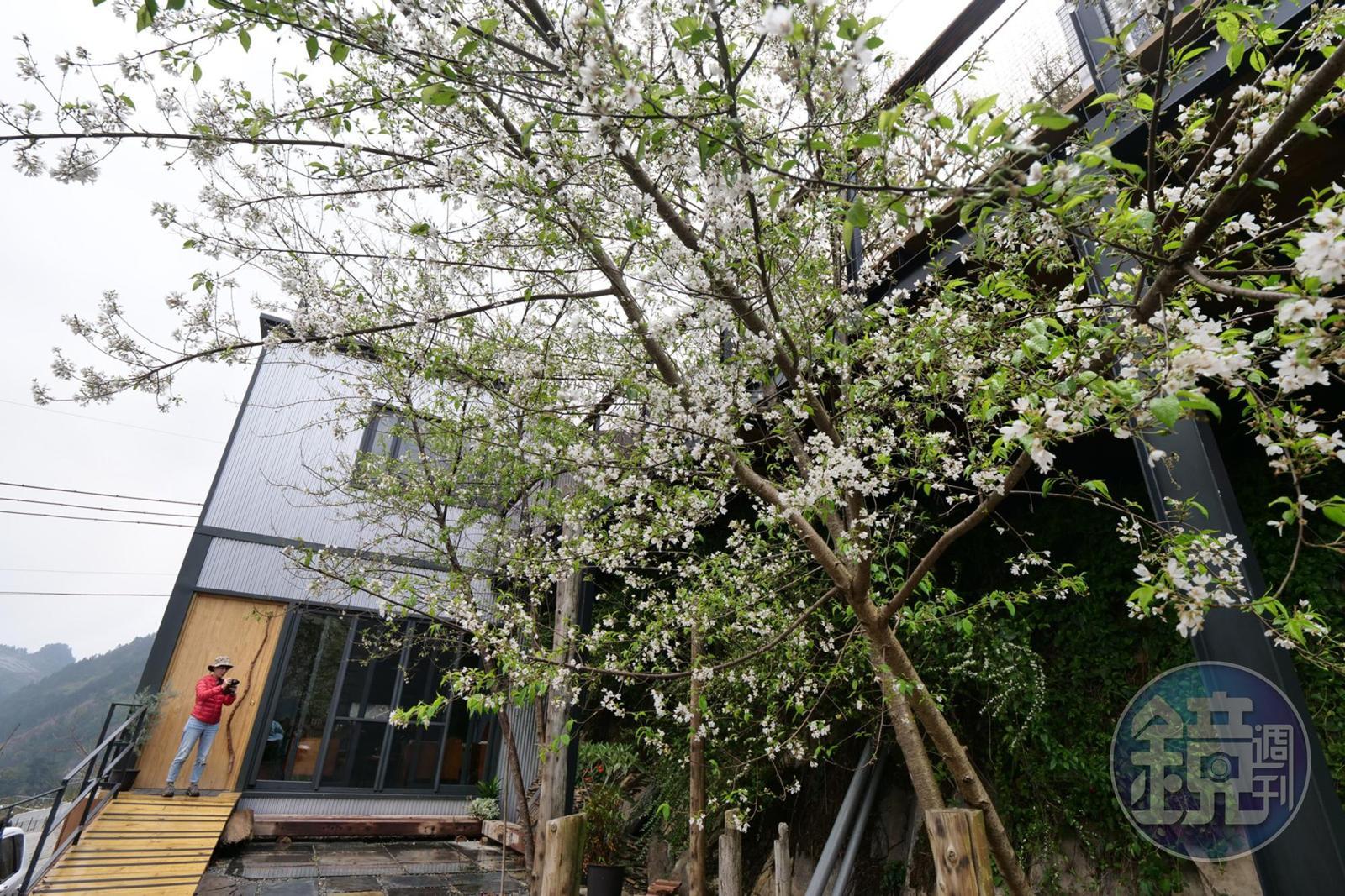 今年剛完工的接待家庭「屋頂上的天空二館」,是羅以撒與張杏汝的心血結晶。