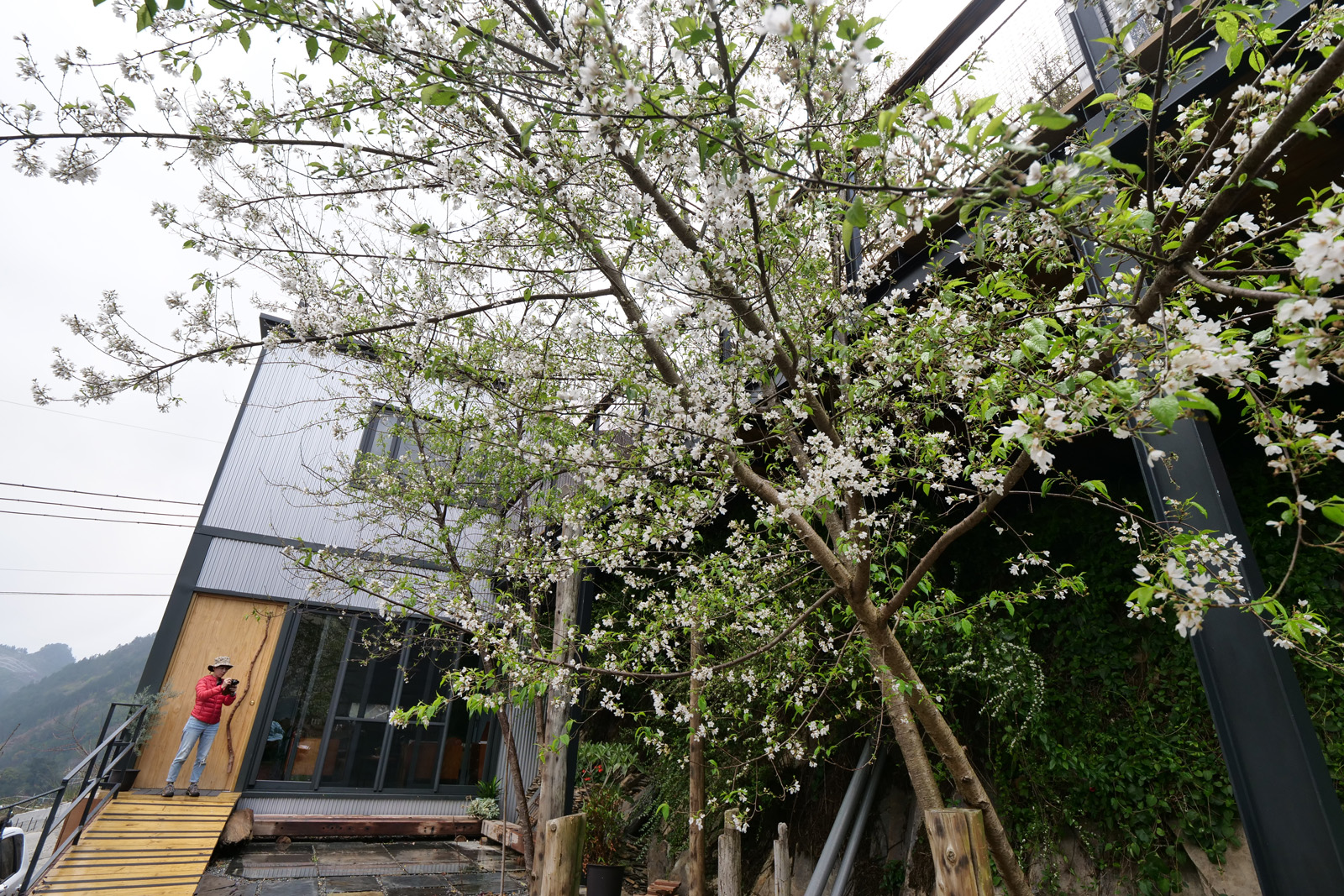 今年剛完工的接待家庭「屋頂上的天空二館」，是羅以撒與張杏汝的心血結晶。 
