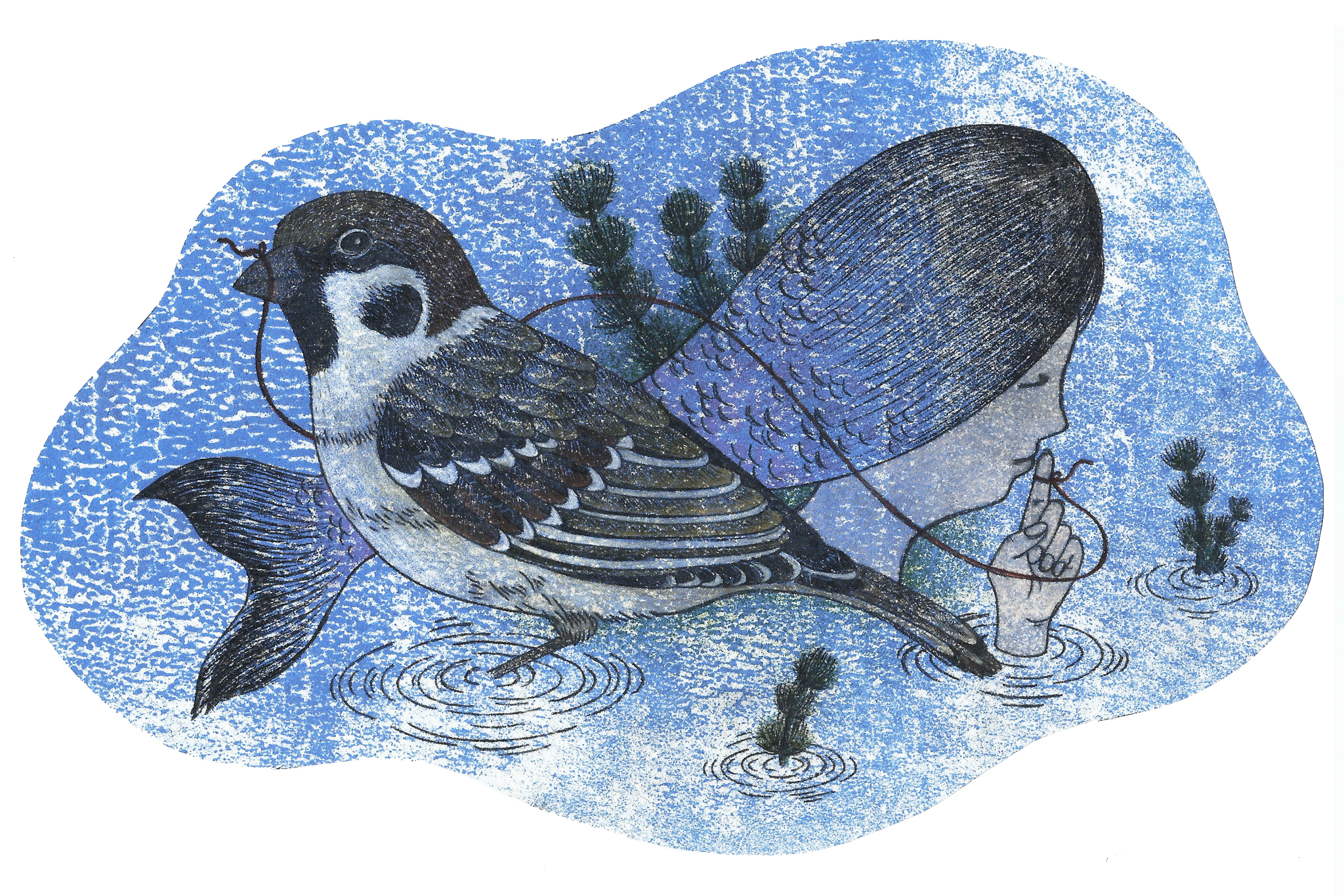 【詩】湖面動靜　蕭宇翔