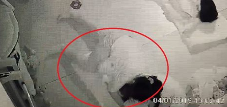 警方調閱現場監視器發現，保母涉嫌「重壓」男嬰長達19分鐘，依業務過失致死送辦。（翻攝畫面）