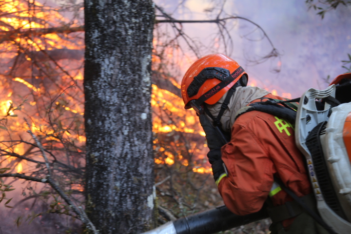 中國四川省涼山州木里縣日前發生森林大火，消防員閃避不及，發生全隊遇難的悲劇。（東方IC）