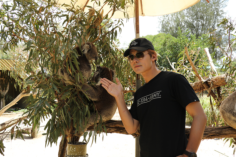廖科溢在野生動物保護區與無尾熊合影。（亞洲旅遊台提供）