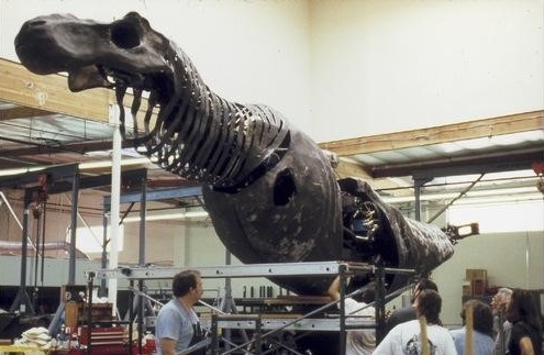 《侏羅紀公園》工作人員先製作一副恐龍骨架，讓牠看起來有份量 。（翻攝自stanwinstonschool.com）