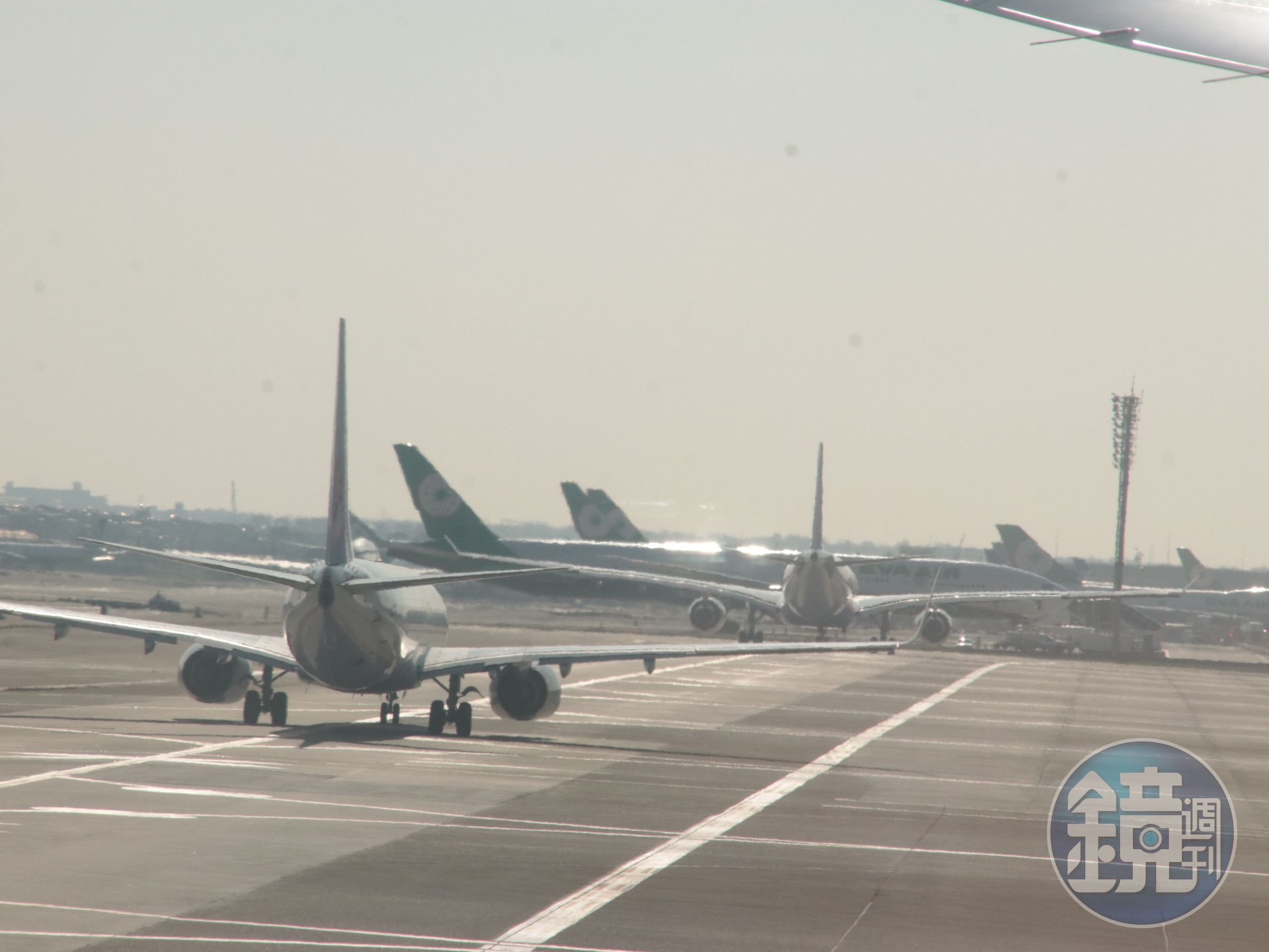 桃園機場今（5）日上午8時許跑道尾端突然闖入4隻野狗，造成班機延誤起降20分鐘。（翻攝畫面）
