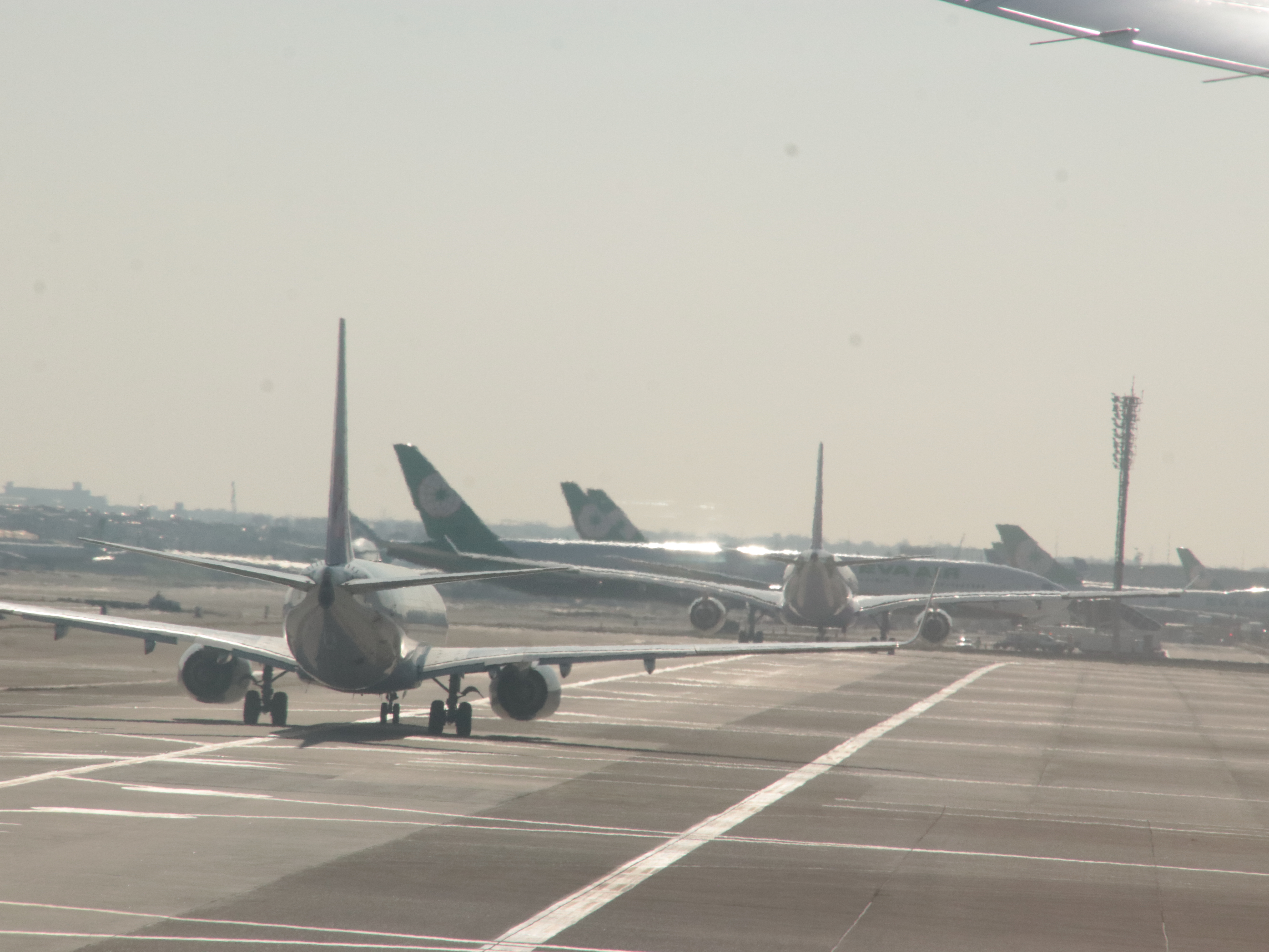 桃園機場今（5）日上午8時許跑道尾端突然闖入4隻野狗，造成班機延誤起降20分鐘。（翻攝畫面）