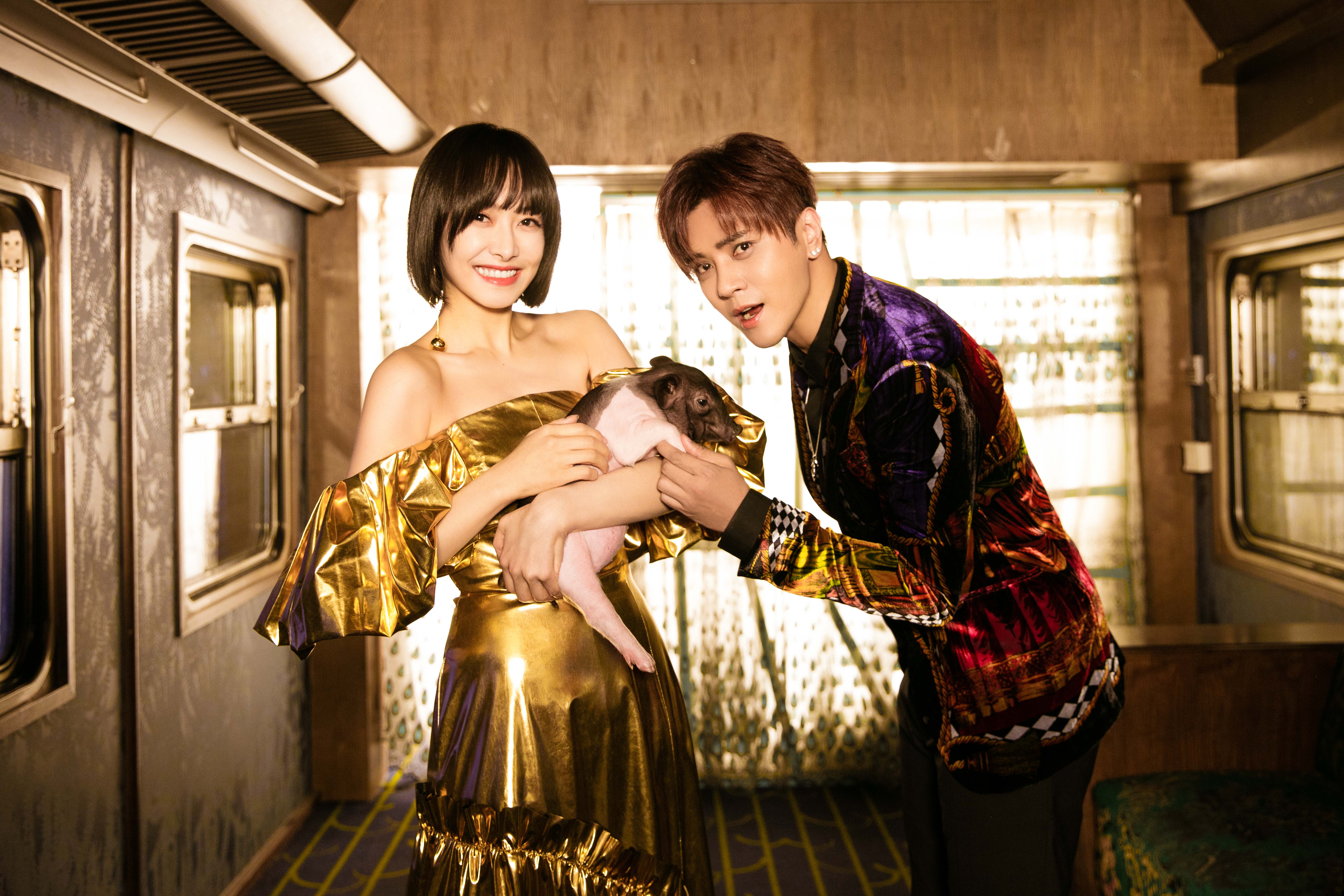 羅志祥與宋茜帶來的小小豬相見歡。（宋茜工作室提供）