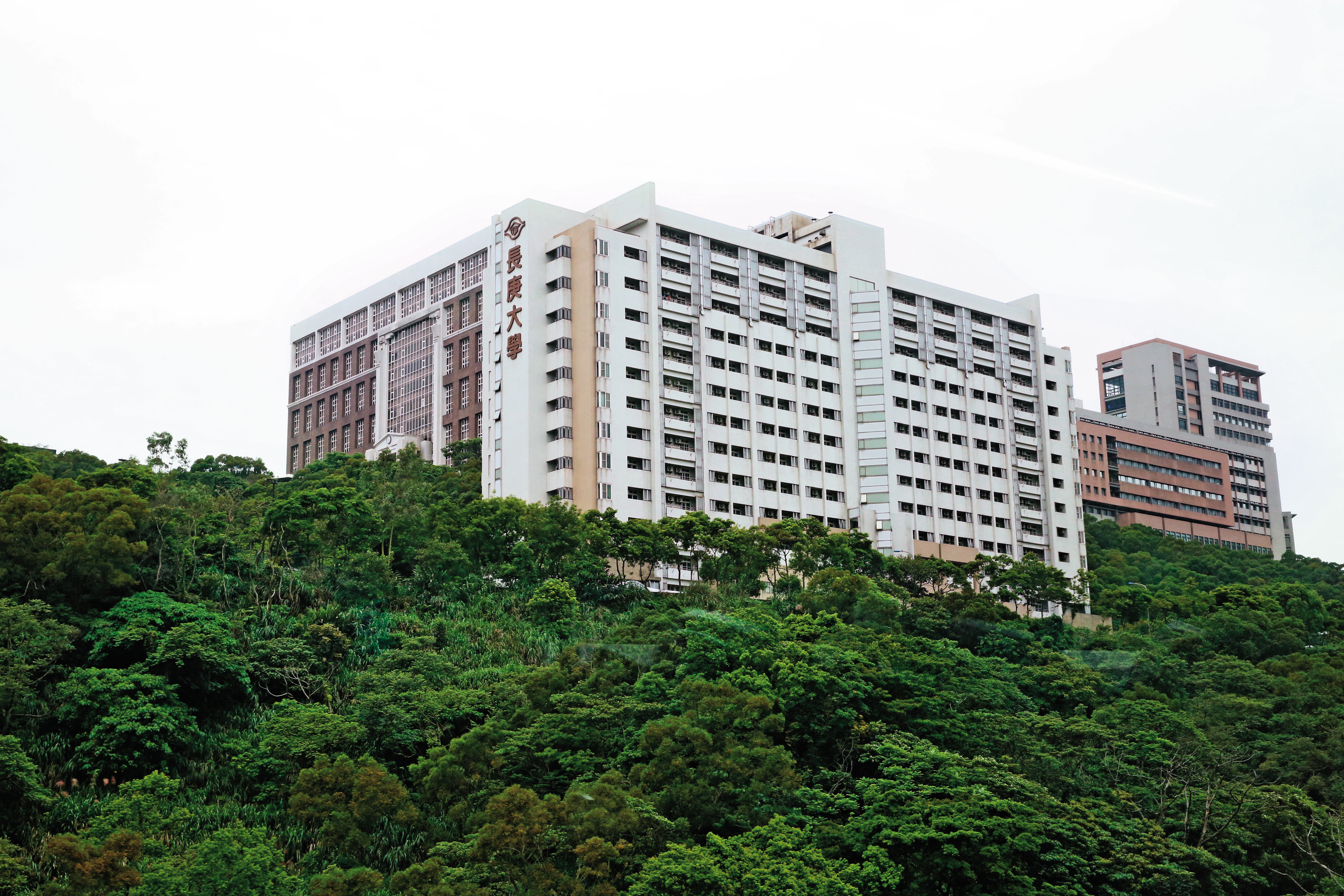 長庚大學也是台塑集團南亞、福懋公司的大股東。