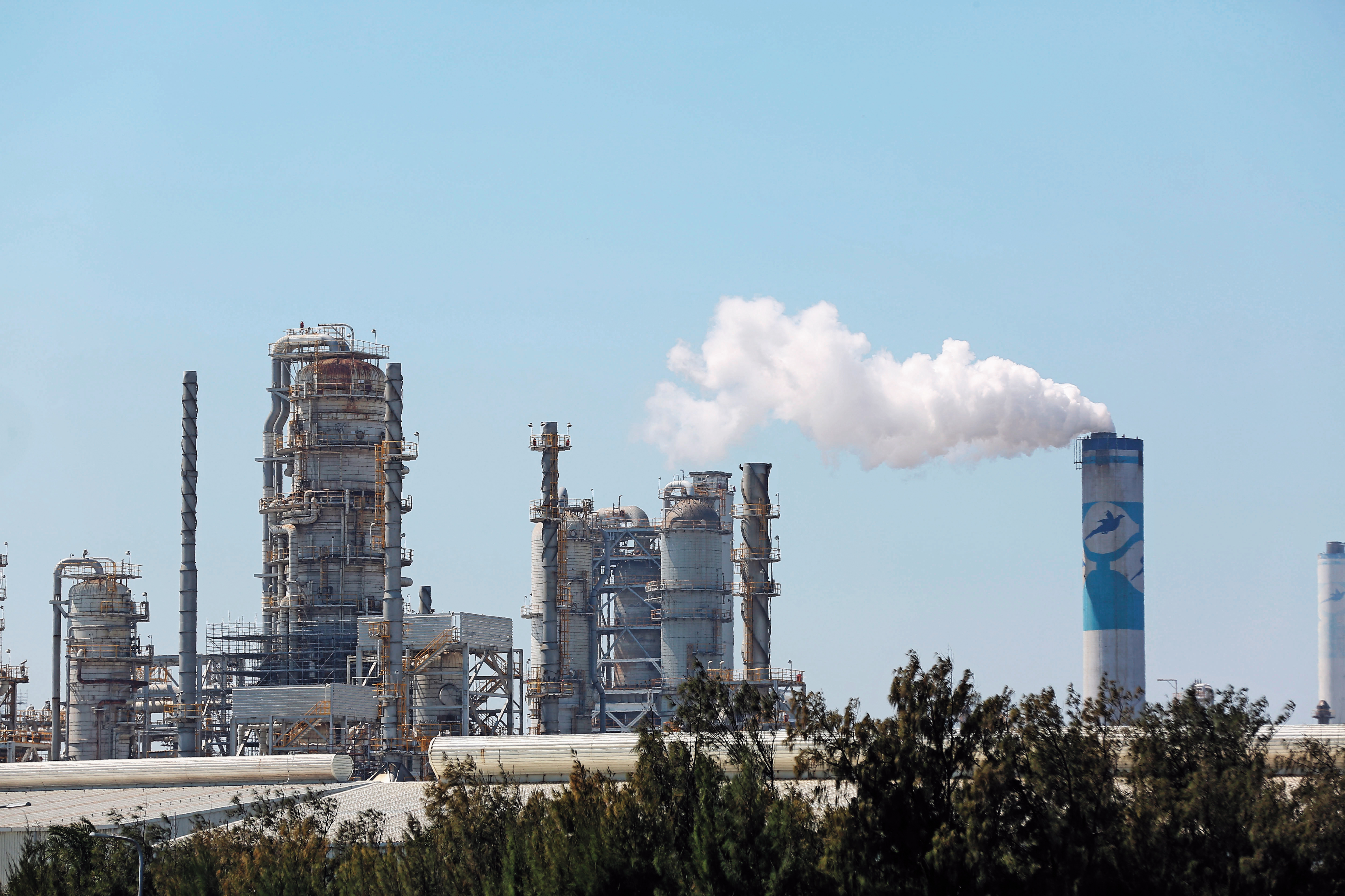 海外的基金控有台塑麥寮石化園區，間接也成為王文洋追查的目標之一。