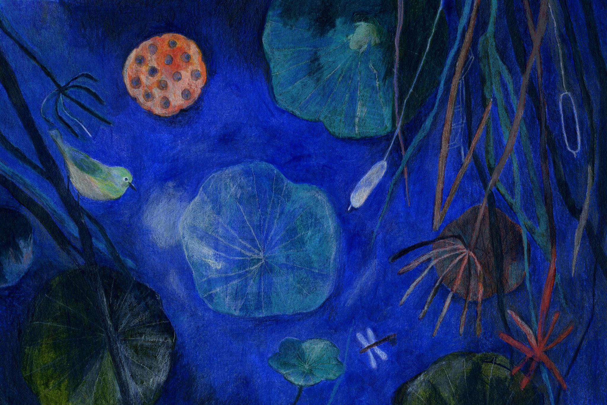 【詩】月光　姚時晴