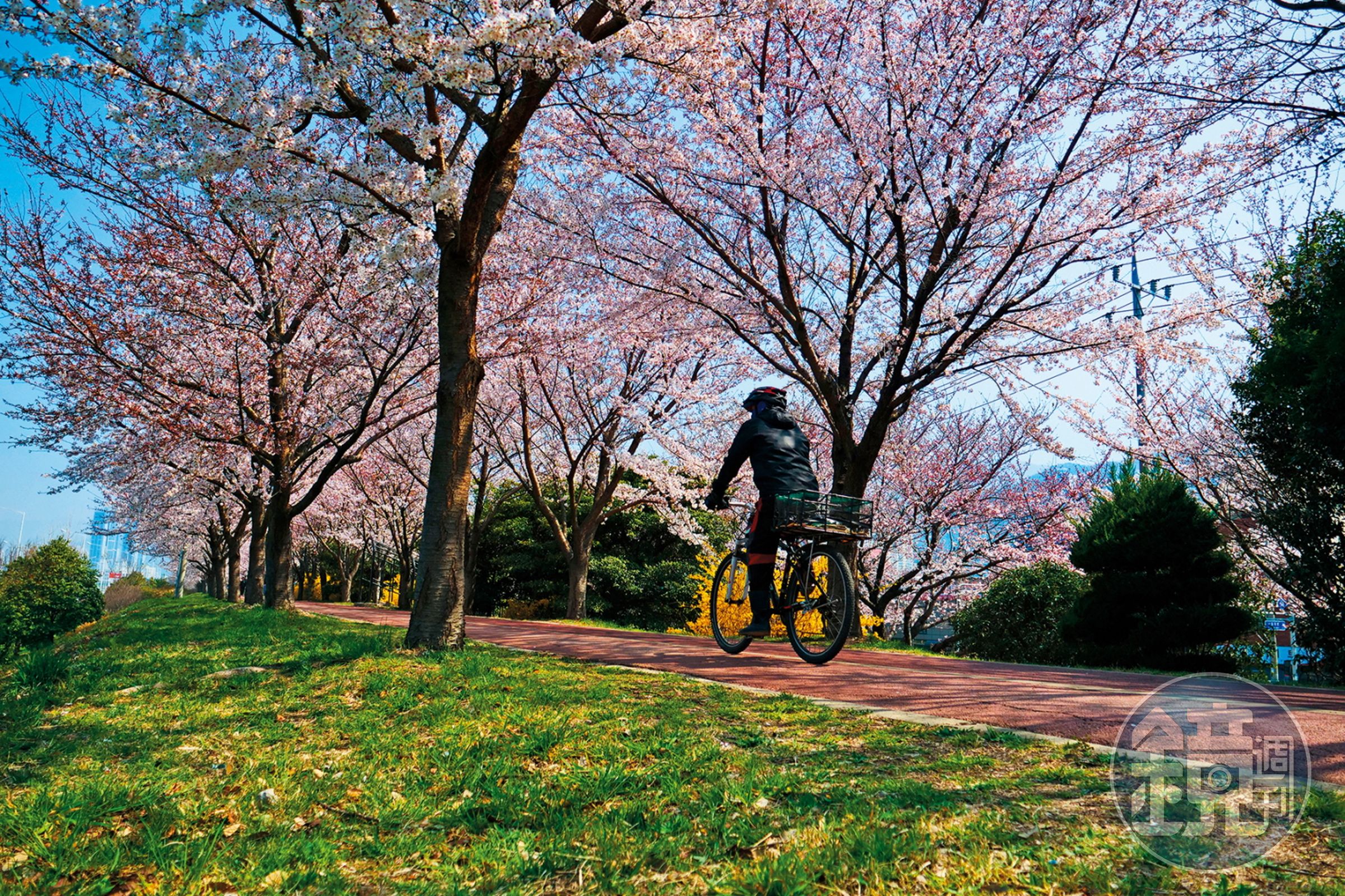 公路旁的「三樂生態公園」是韓國人週末踏青的好去處。